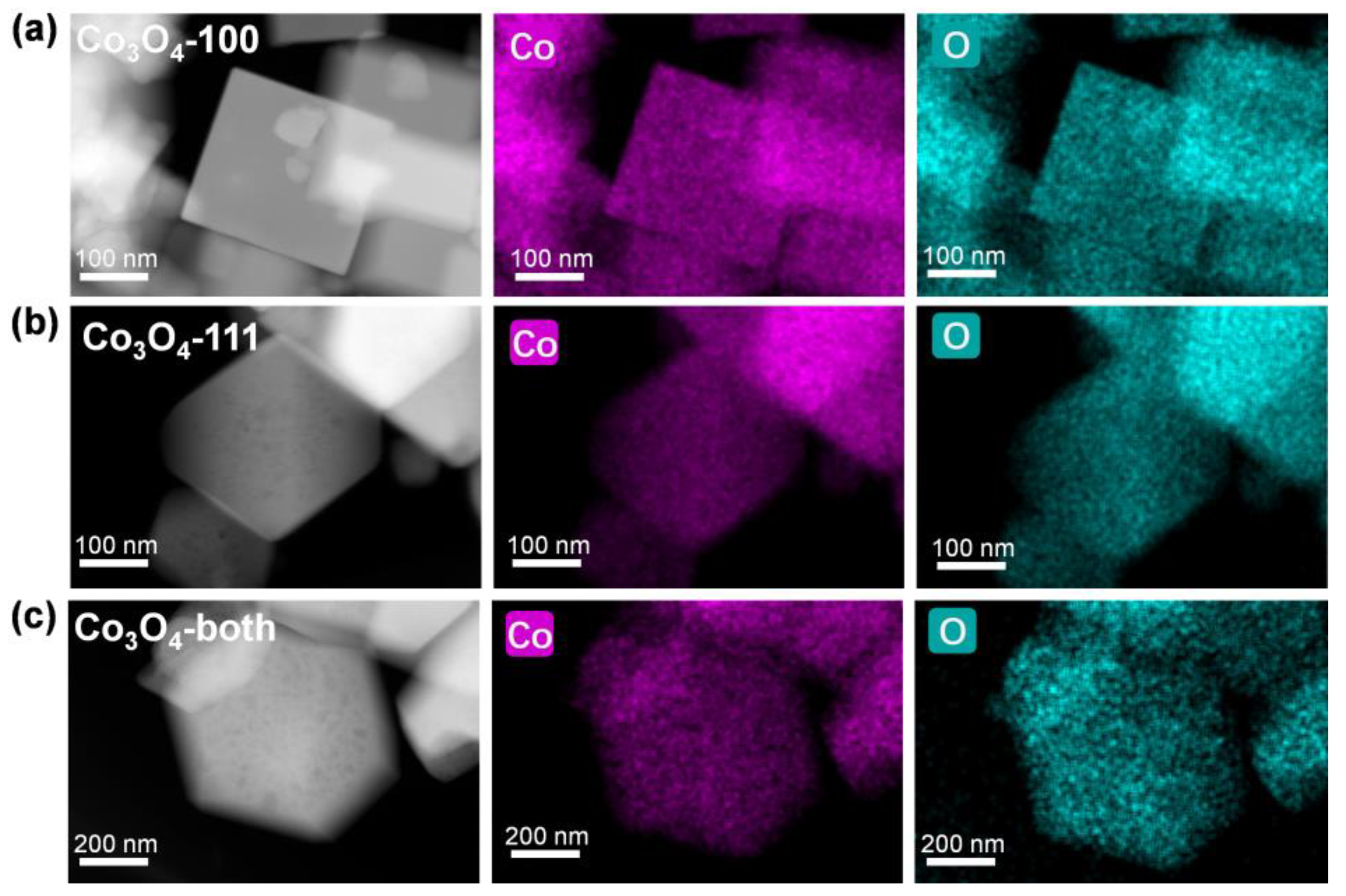 Ijms 23 15930 g002 Ijms 23 15930 g002