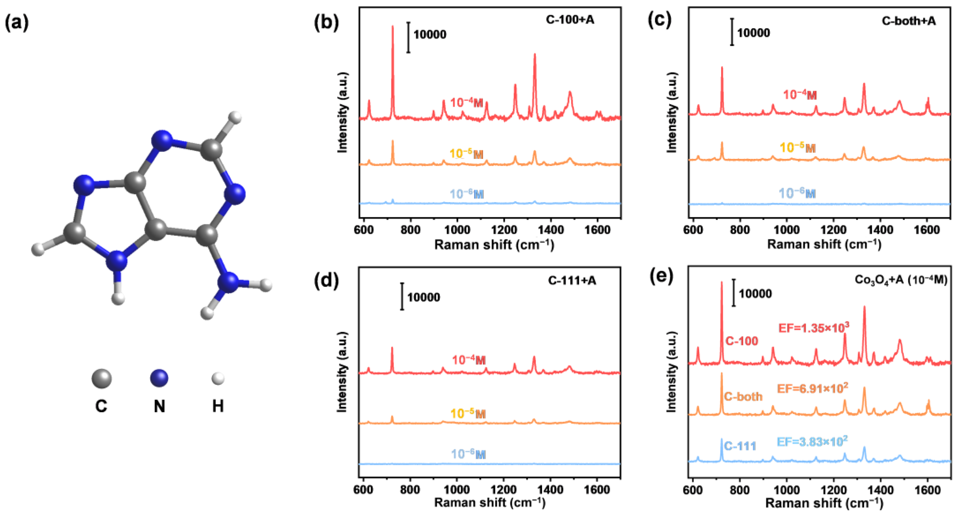 Ijms 23 15930 g004 Ijms 23 15930 g004