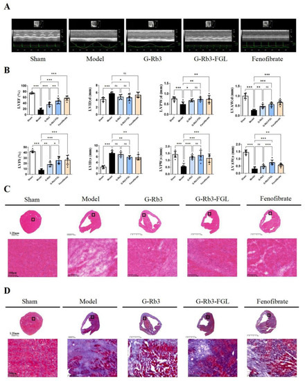 Synergistic Effects of Ginsenoside Rb3 and Ferruginol in Ischemia ...