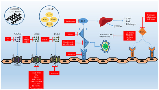 The Impact of Cytokines in Coronary Atherosclerotic Plaque: Current ...