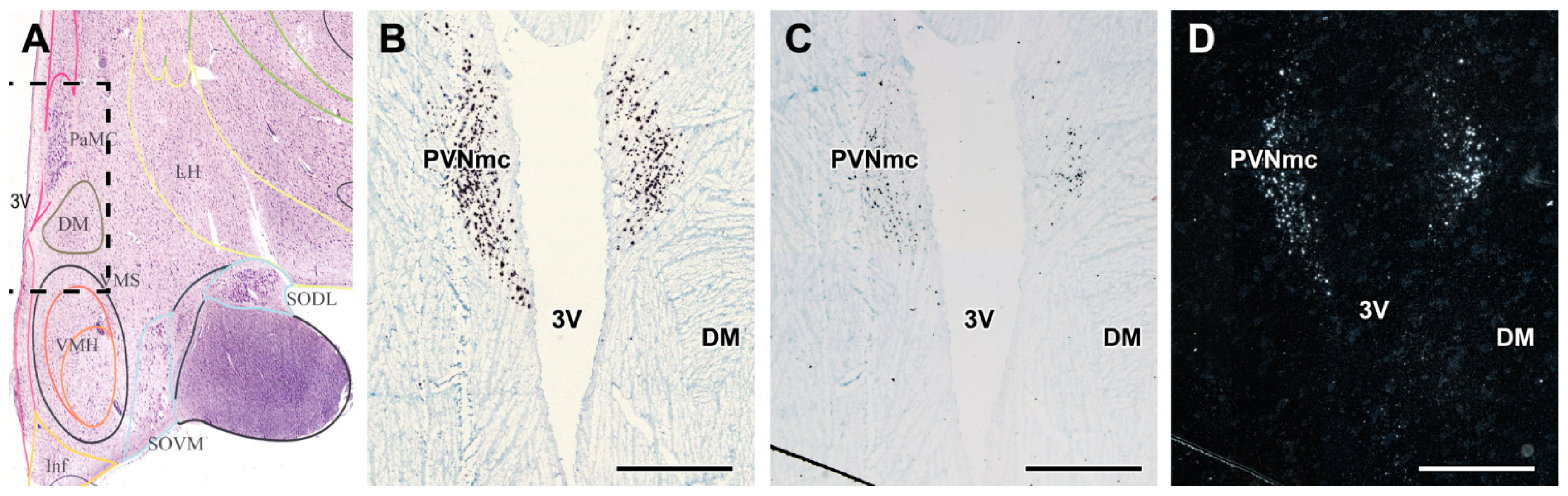 Ijms 23 15945 g003 Ijms 23 15945 g003