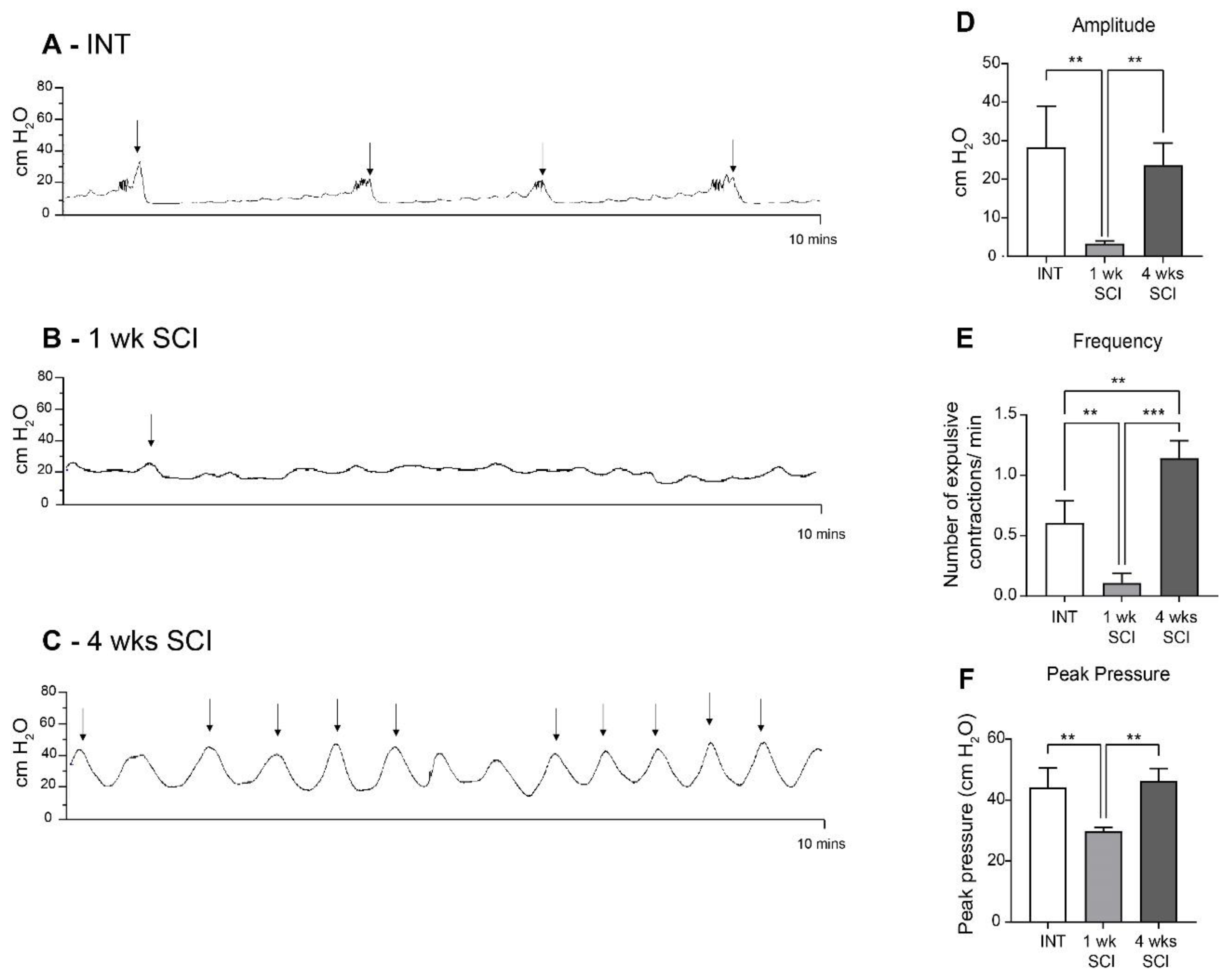Ijms 23 15951 g001 Ijms 23 15951 g001