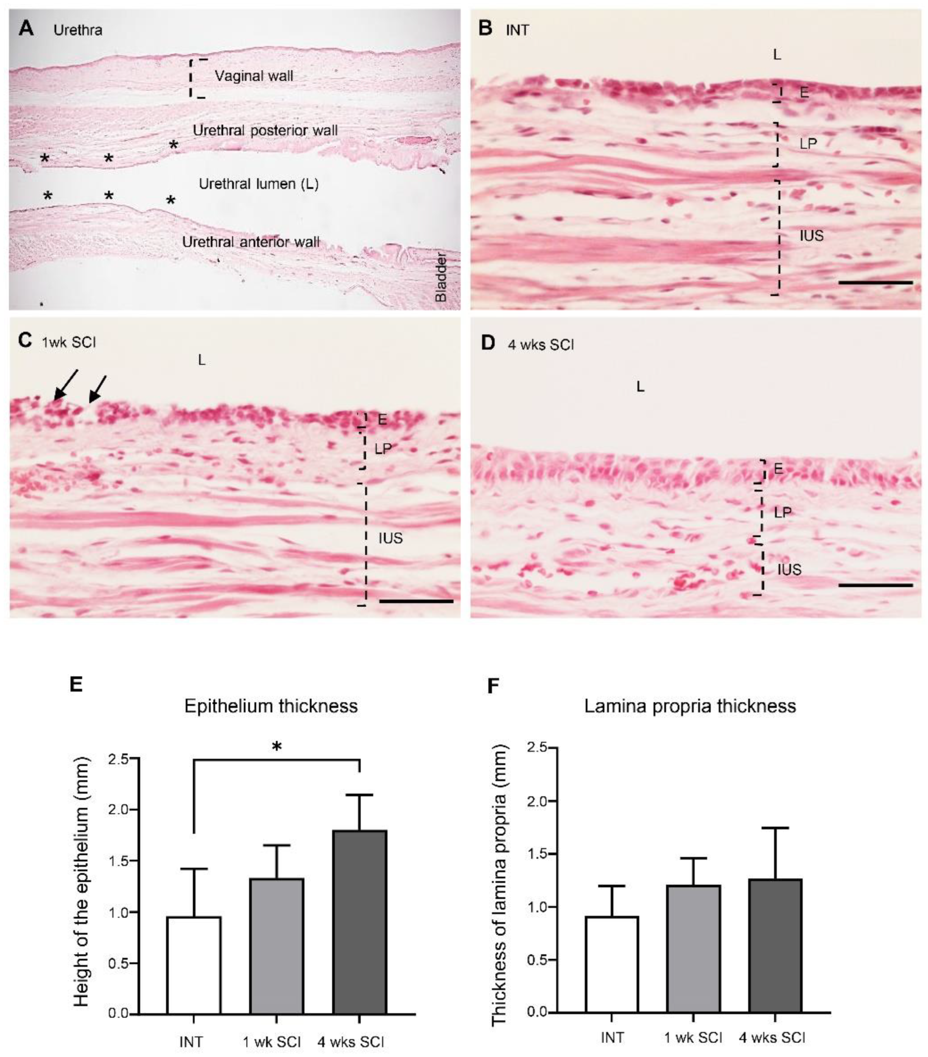 Ijms 23 15951 g002 Ijms 23 15951 g002