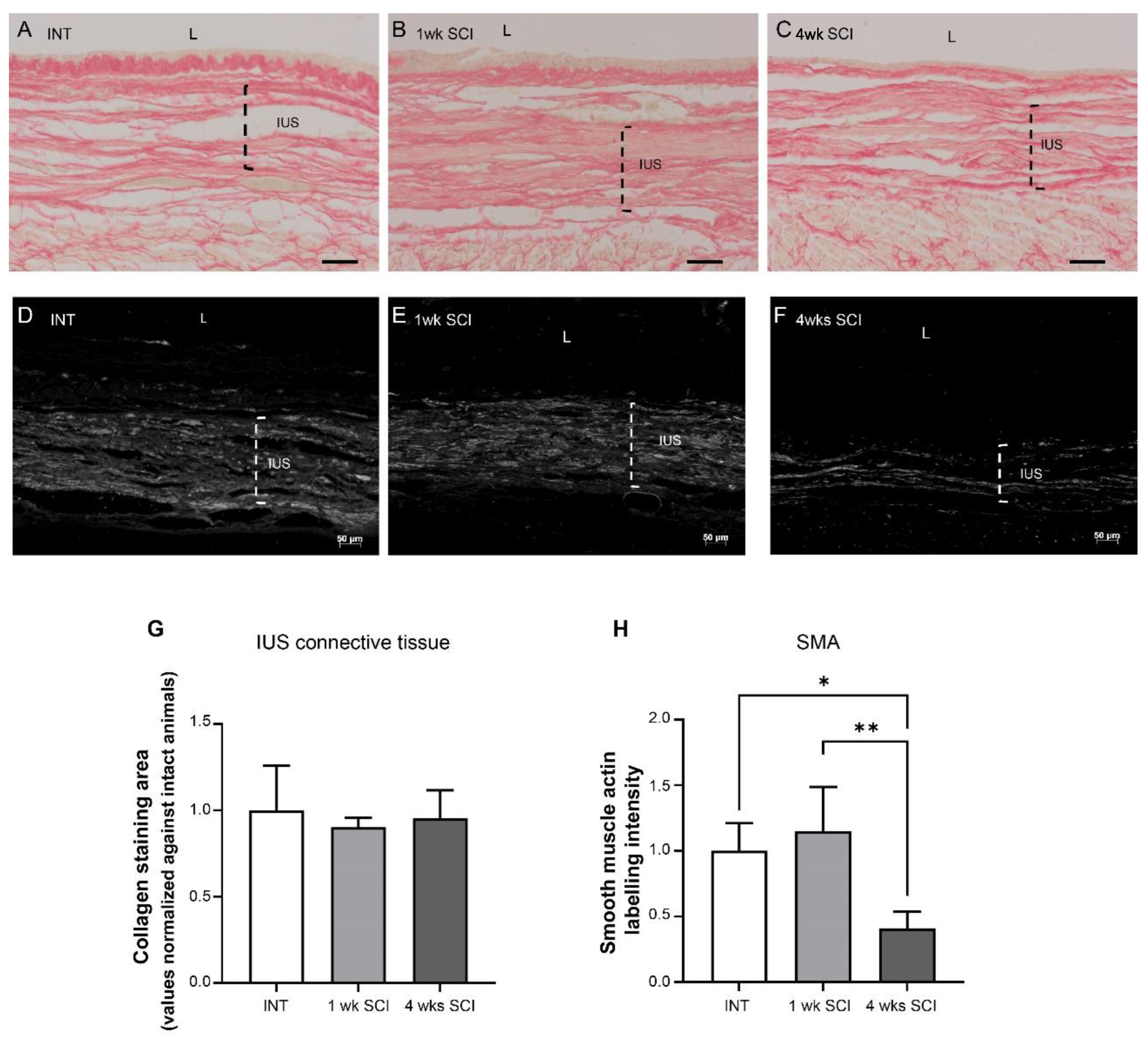Ijms 23 15951 g003 Ijms 23 15951 g003