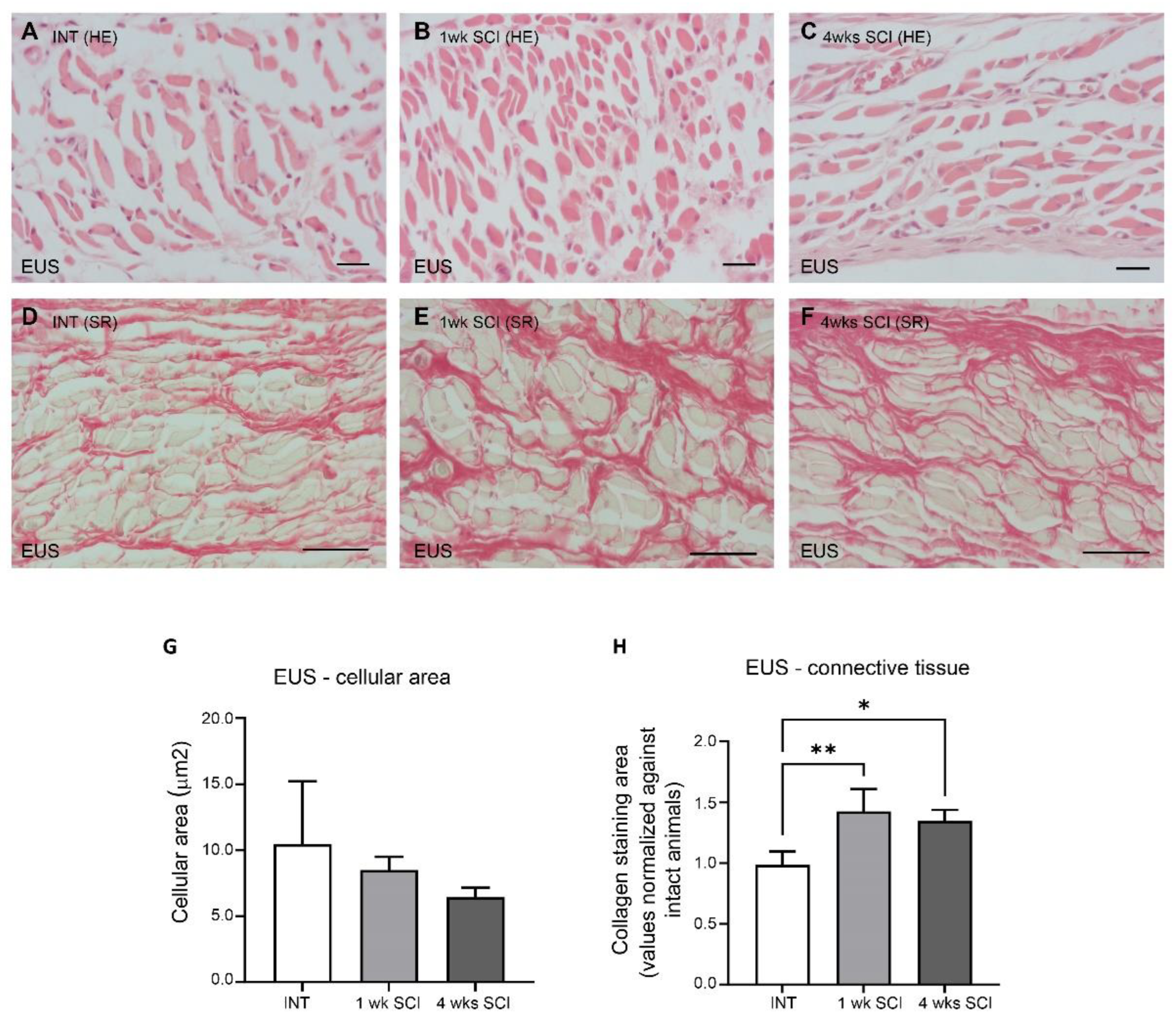 Ijms 23 15951 g004 Ijms 23 15951 g004