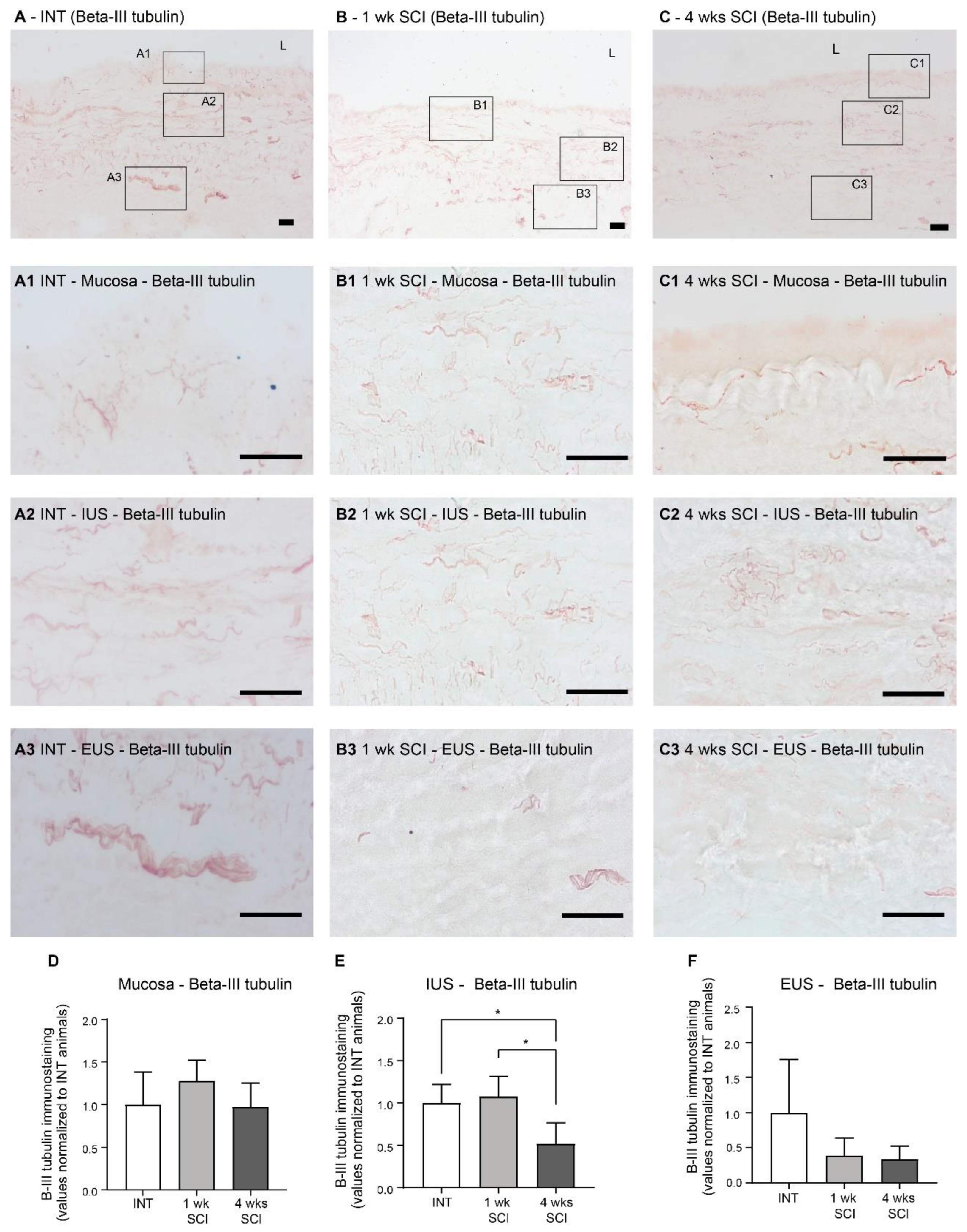 Ijms 23 15951 g005 Ijms 23 15951 g005