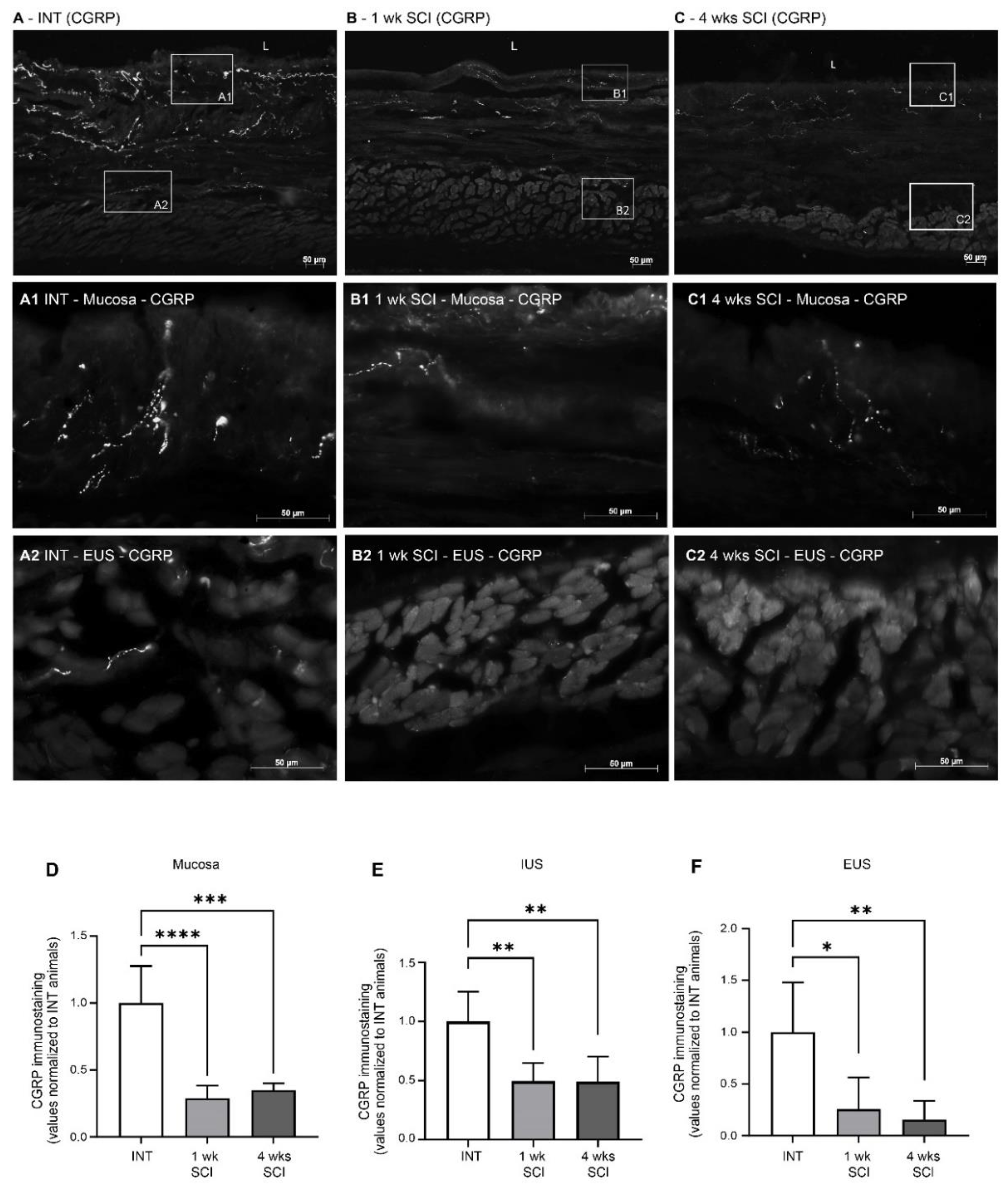 Ijms 23 15951 g006 Ijms 23 15951 g006