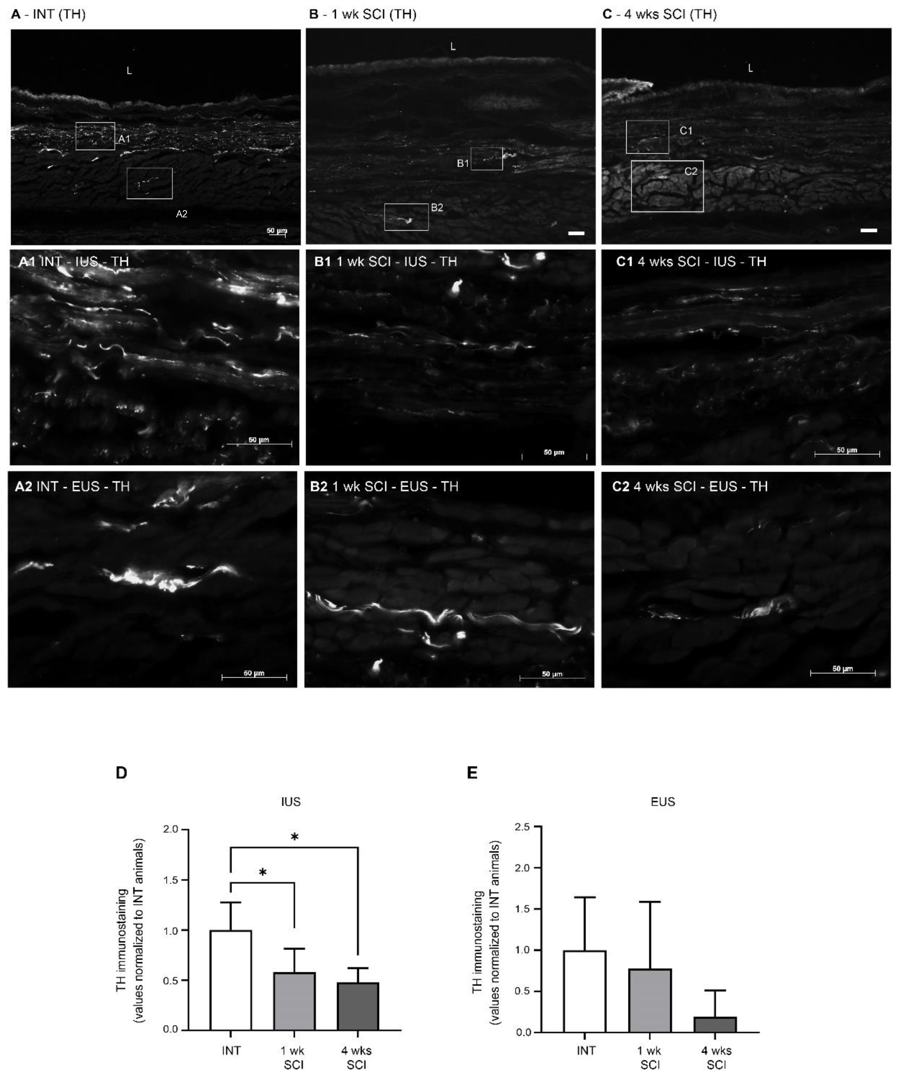 Ijms 23 15951 g007 Ijms 23 15951 g007