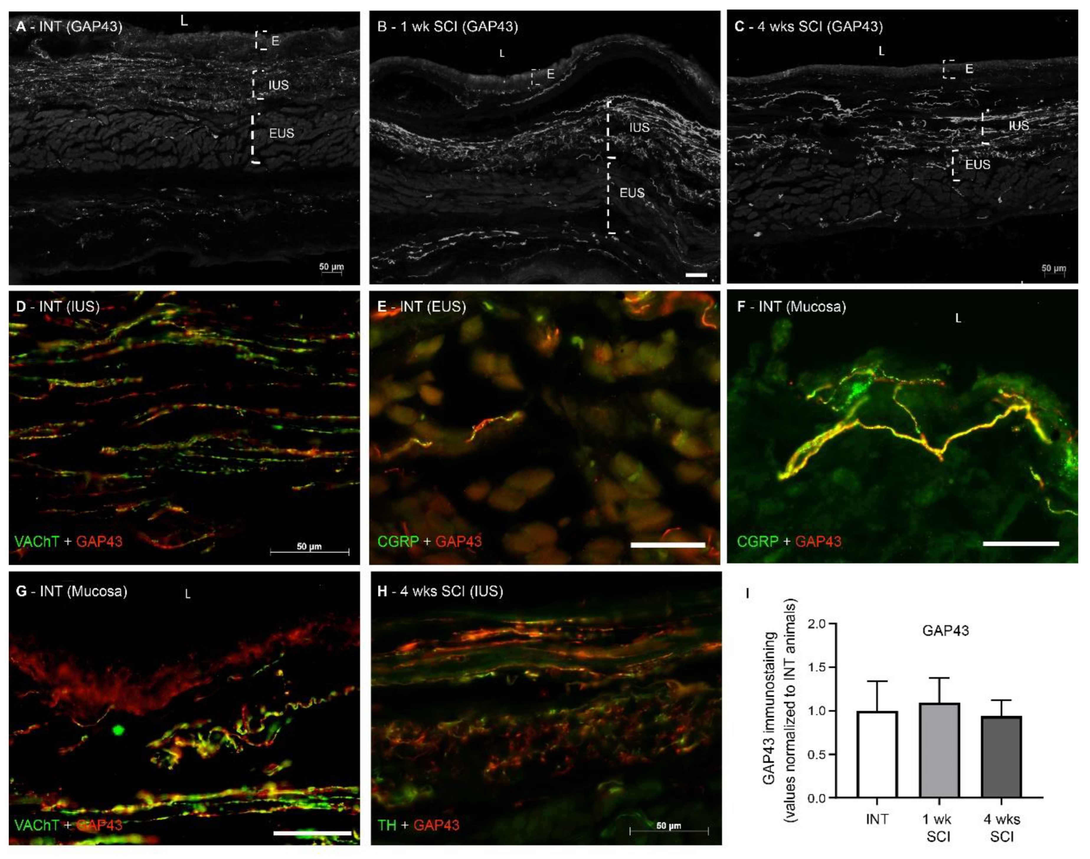 Ijms 23 15951 g009 Ijms 23 15951 g009