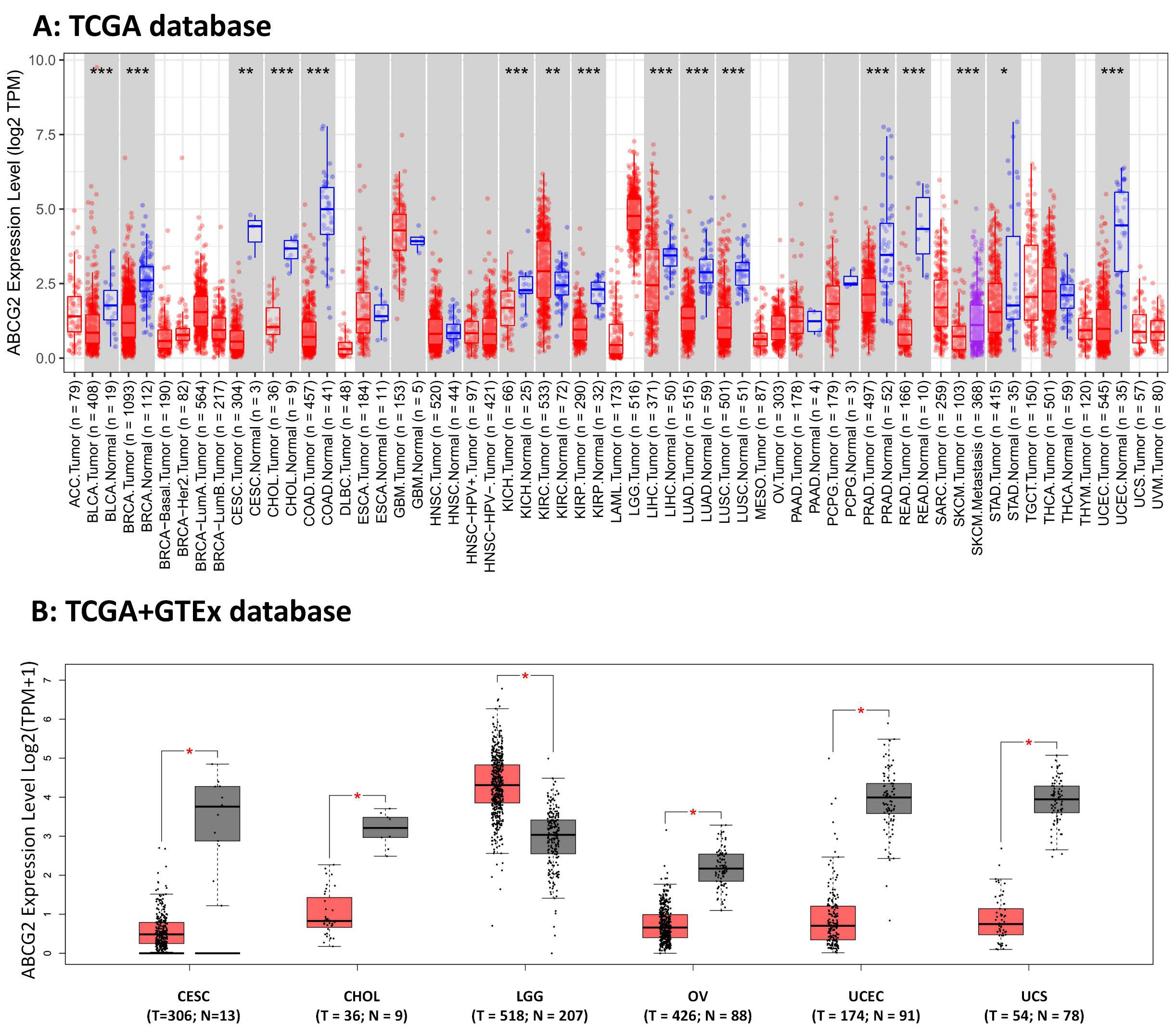 Ijms 23 15955 g001a Ijms 23 15955 g001a