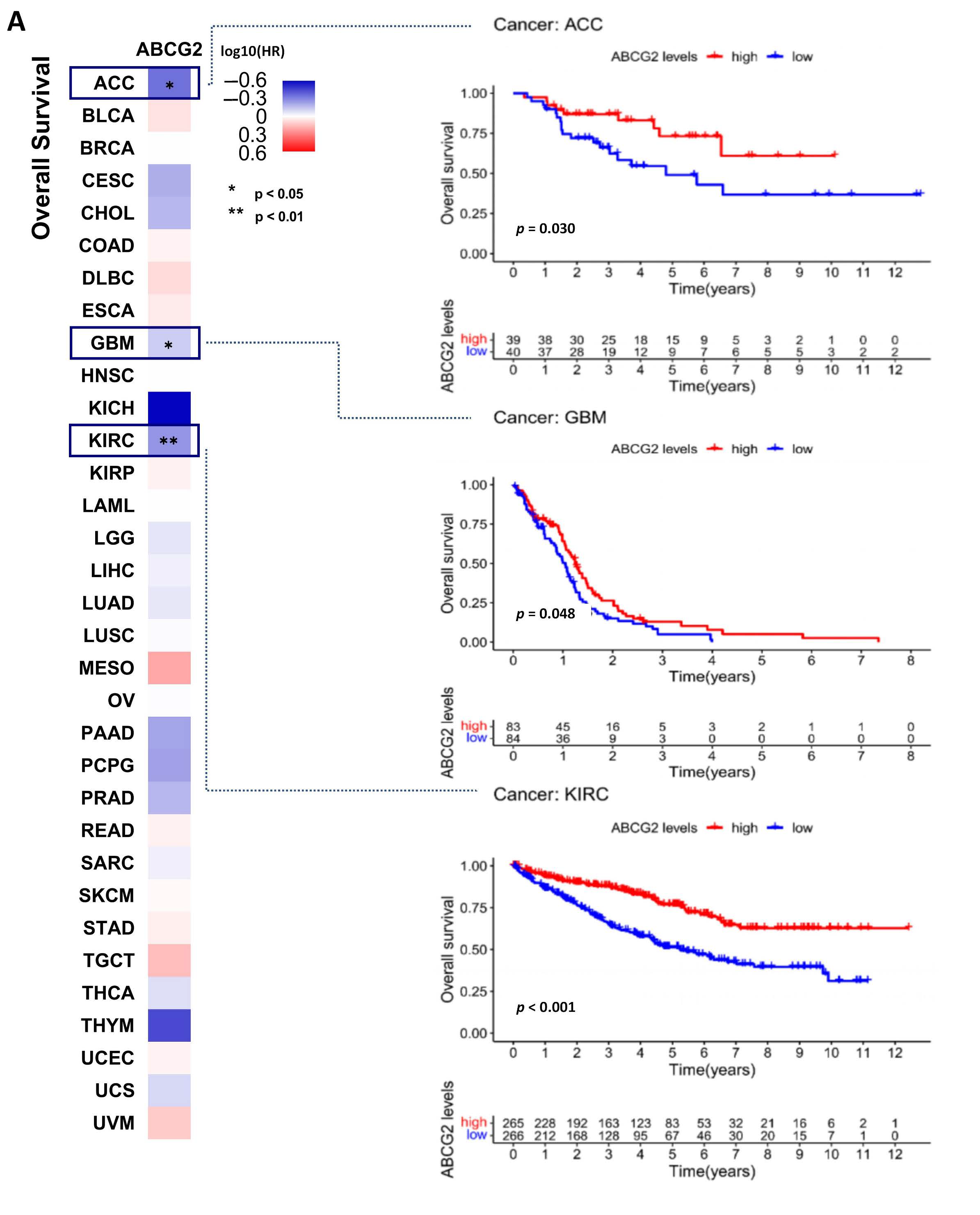 Ijms 23 15955 g003a Ijms 23 15955 g003a