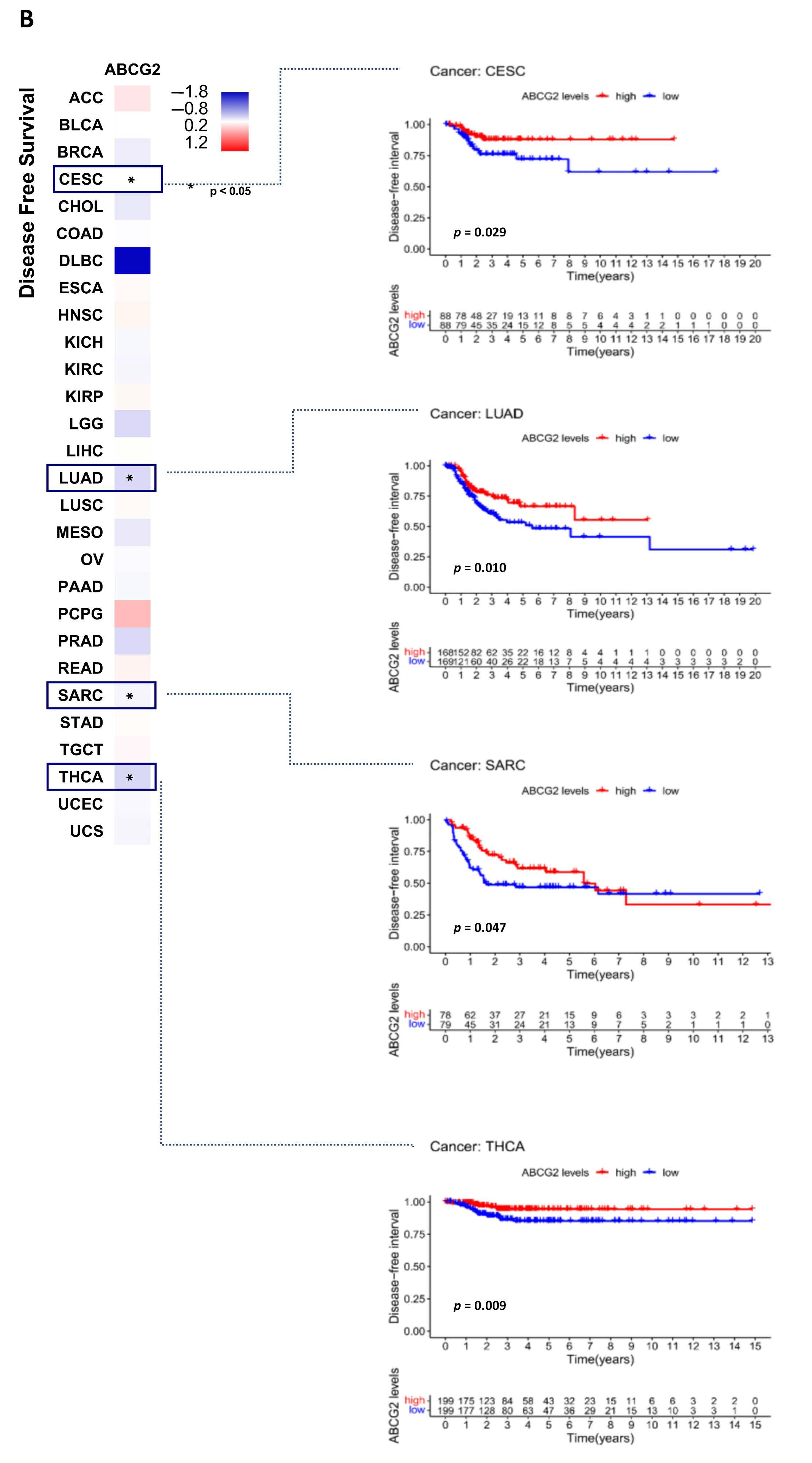 Ijms 23 15955 g003b Ijms 23 15955 g003b