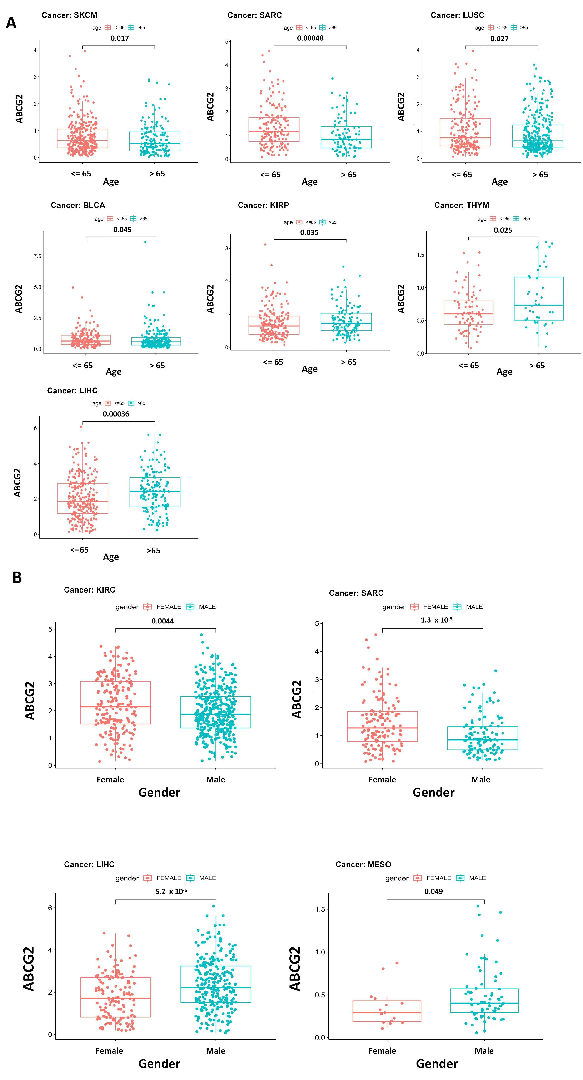 Ijms 23 15955 g005 Ijms 23 15955 g005