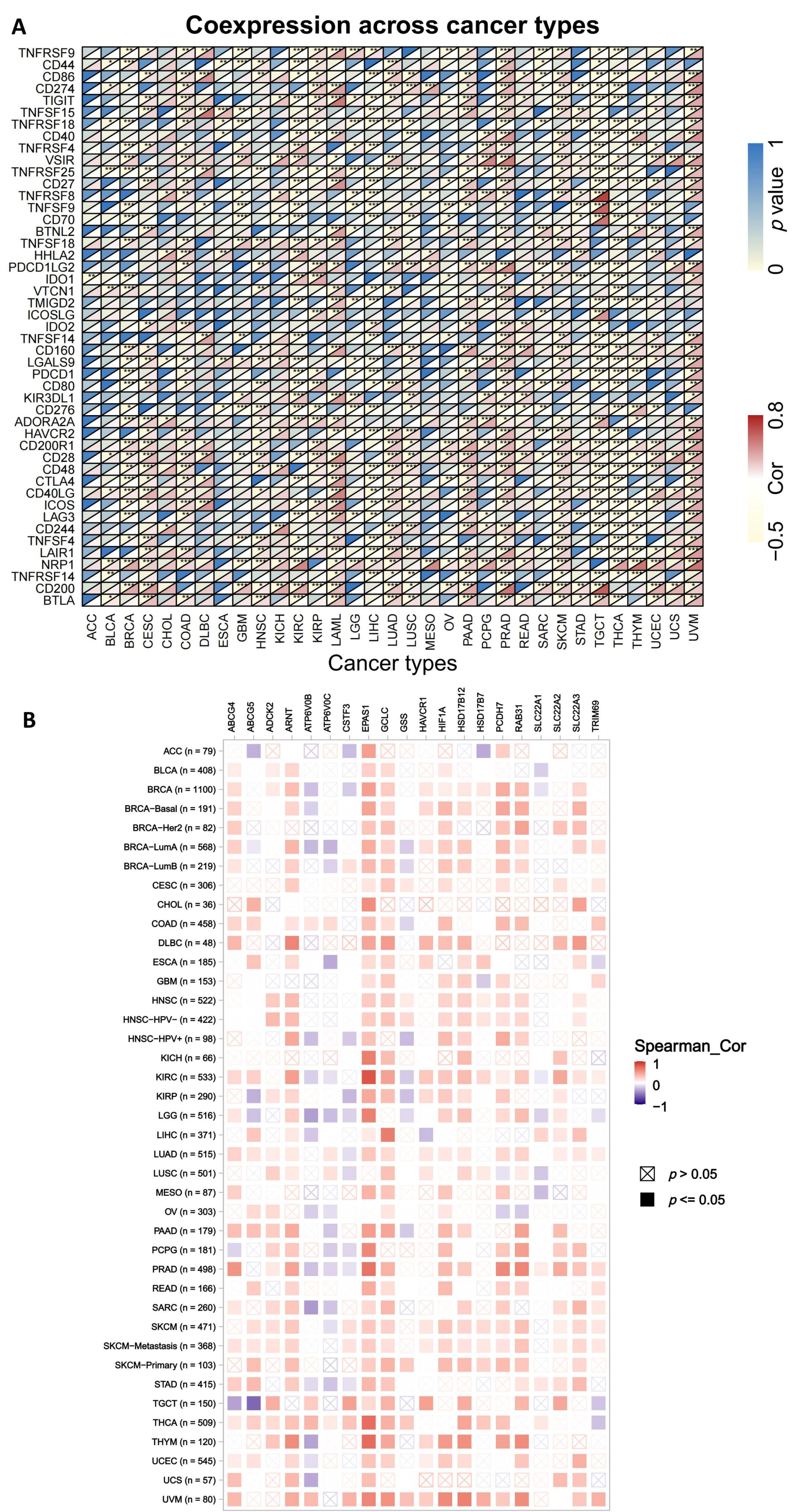 Ijms 23 15955 g009 Ijms 23 15955 g009