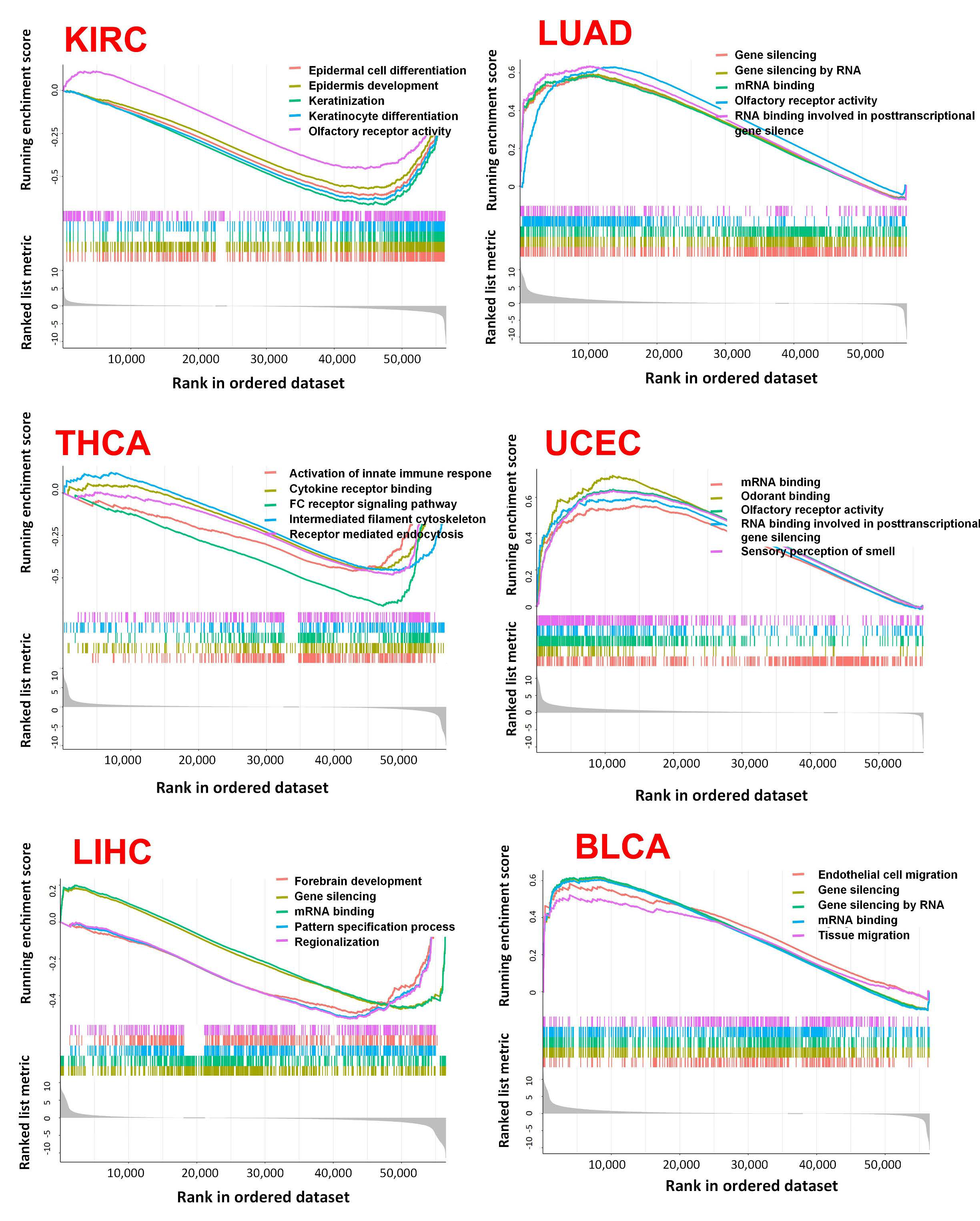 Ijms 23 15955 g011 Ijms 23 15955 g011