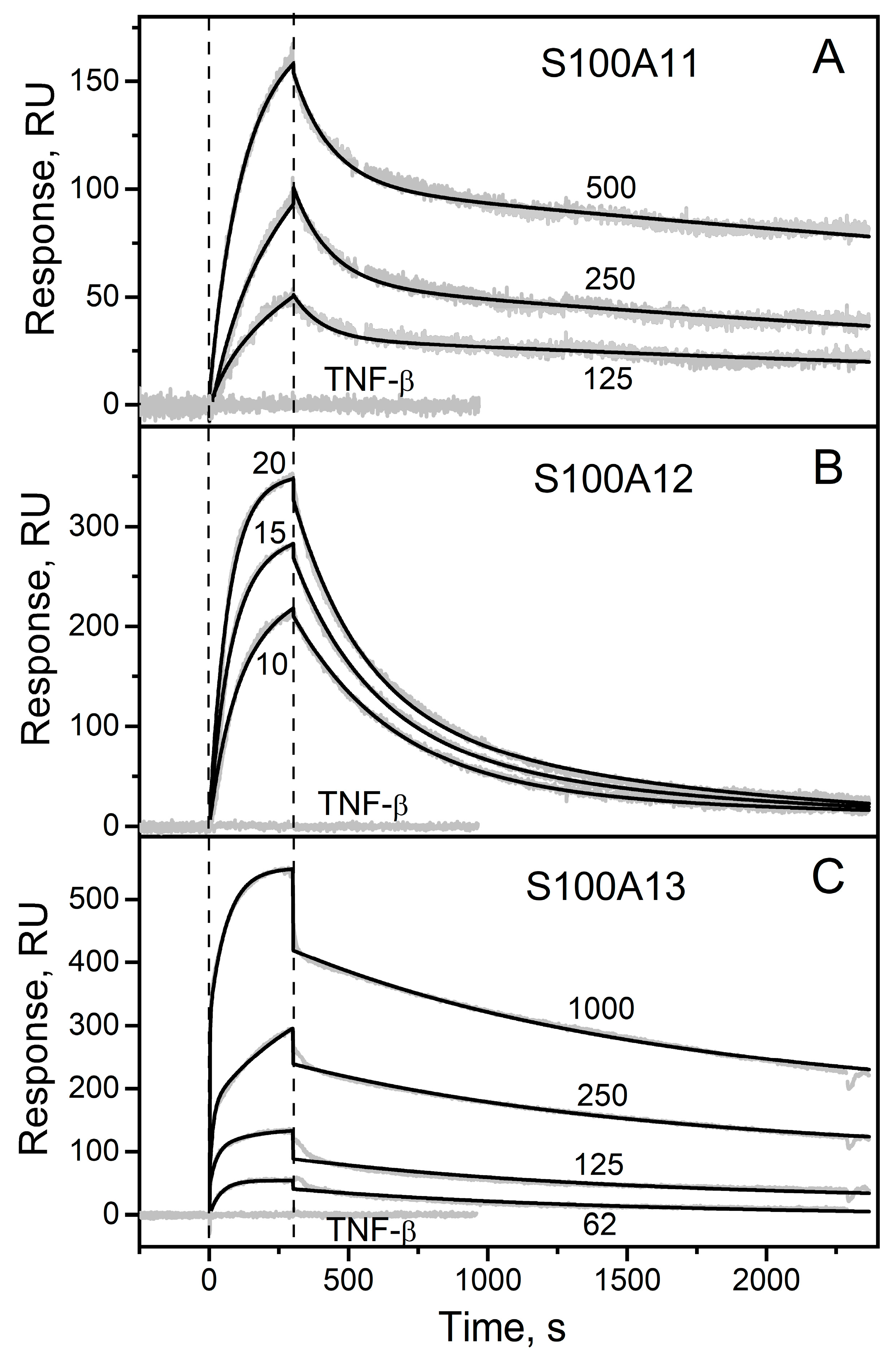 Ijms 23 15956 g001 Ijms 23 15956 g001