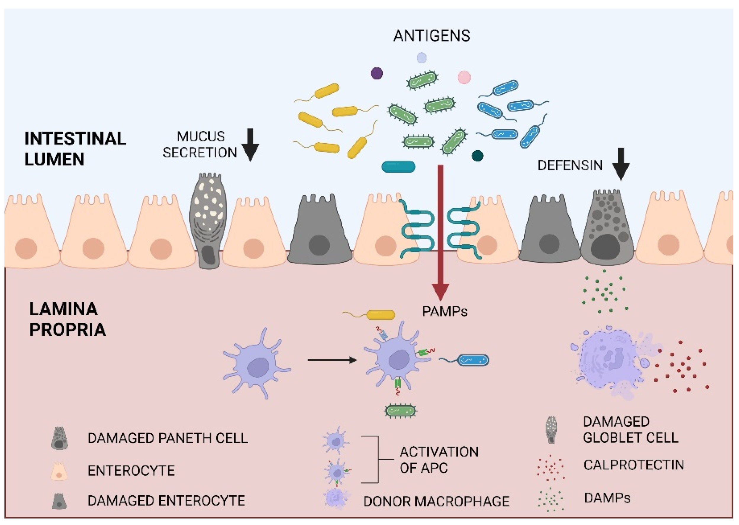 Ijms 23 15962 g001 Ijms 23 15962 g001