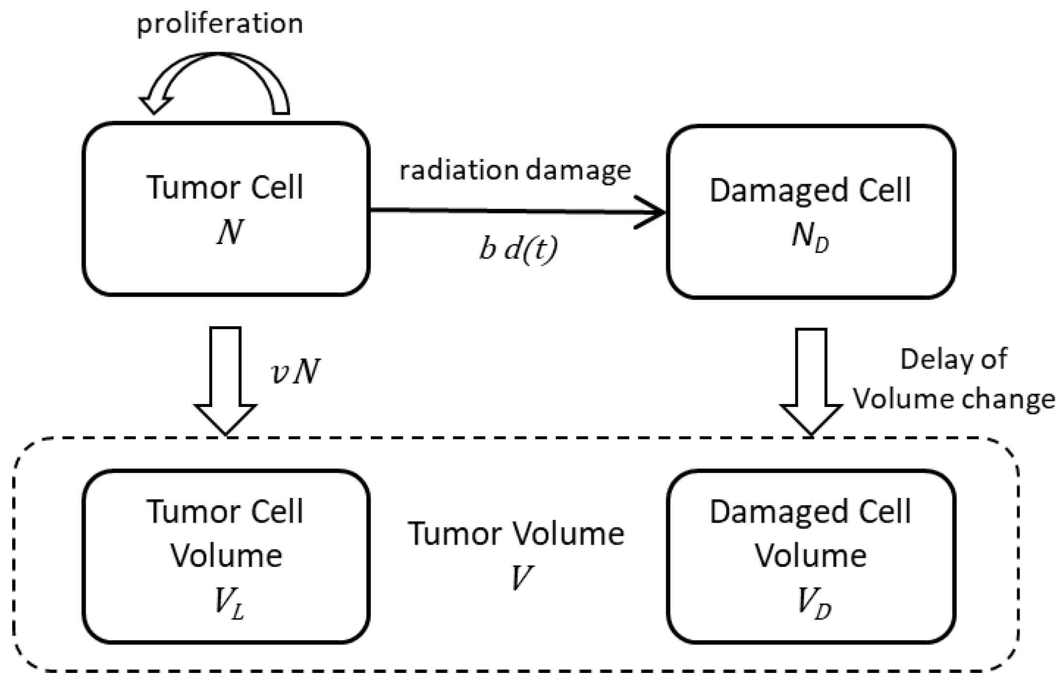 Ijms 23 15966 g005 Ijms 23 15966 g005
