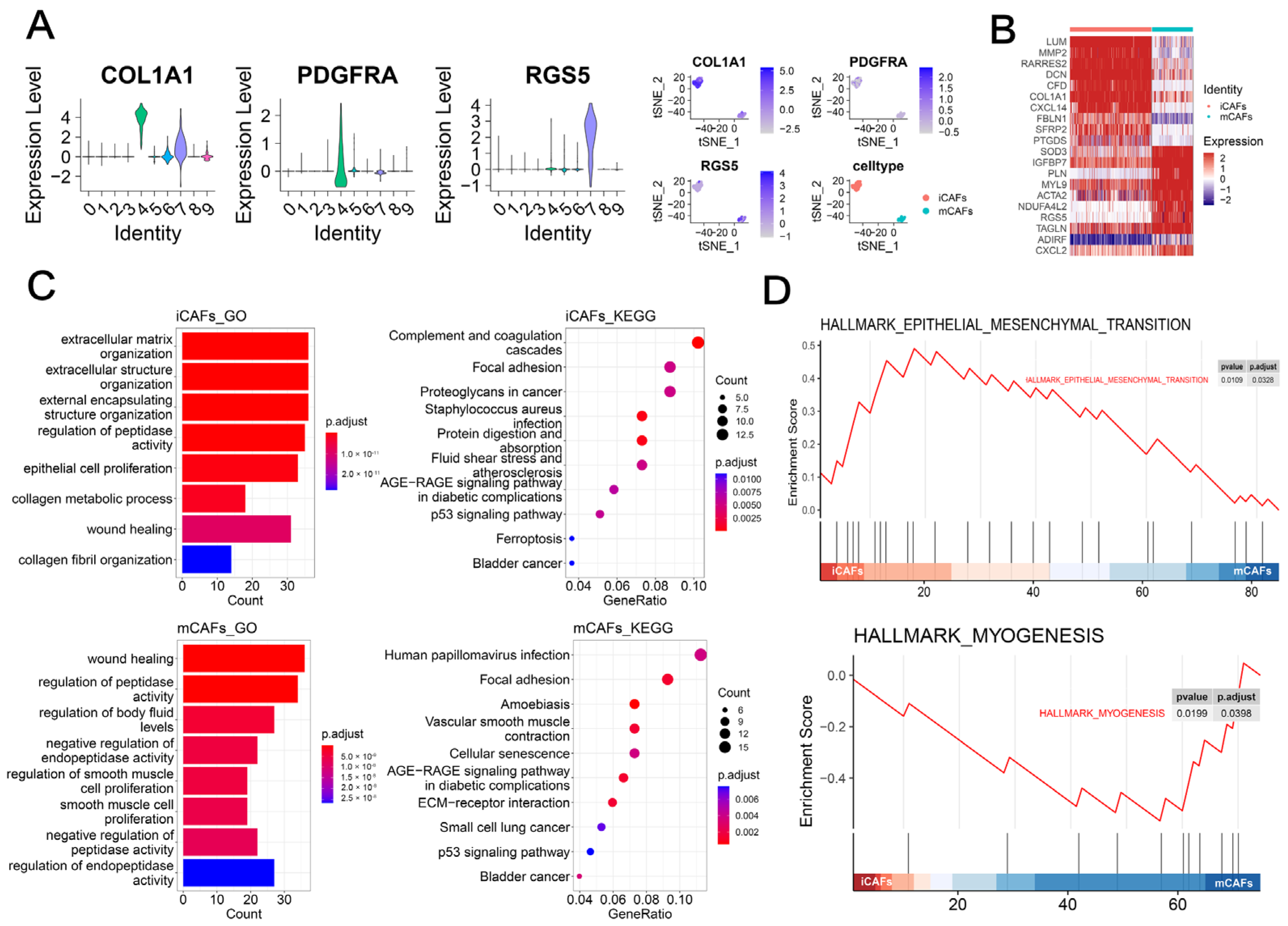 Ijms 23 15970 g001 Ijms 23 15970 g001