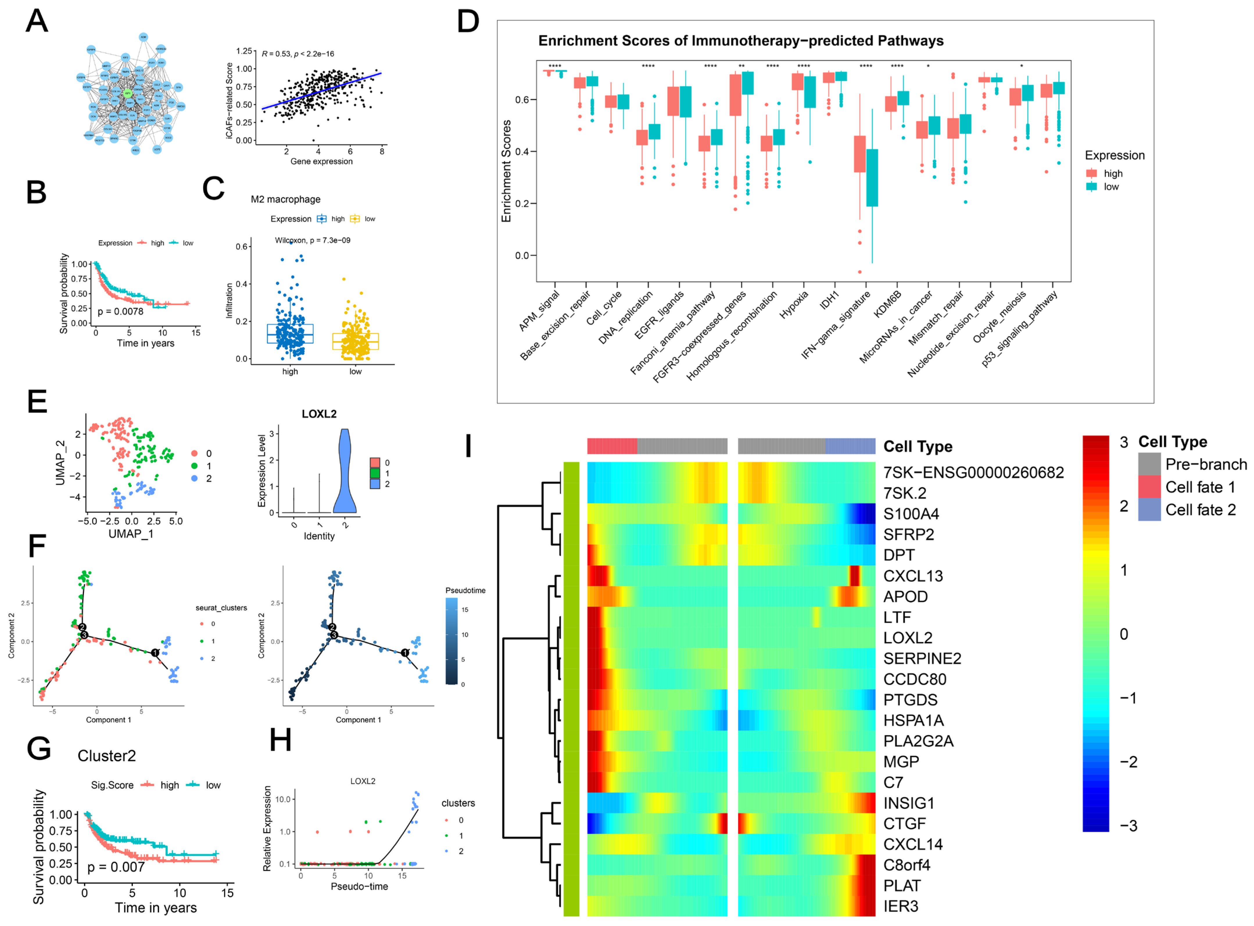 Ijms 23 15970 g005 Ijms 23 15970 g005