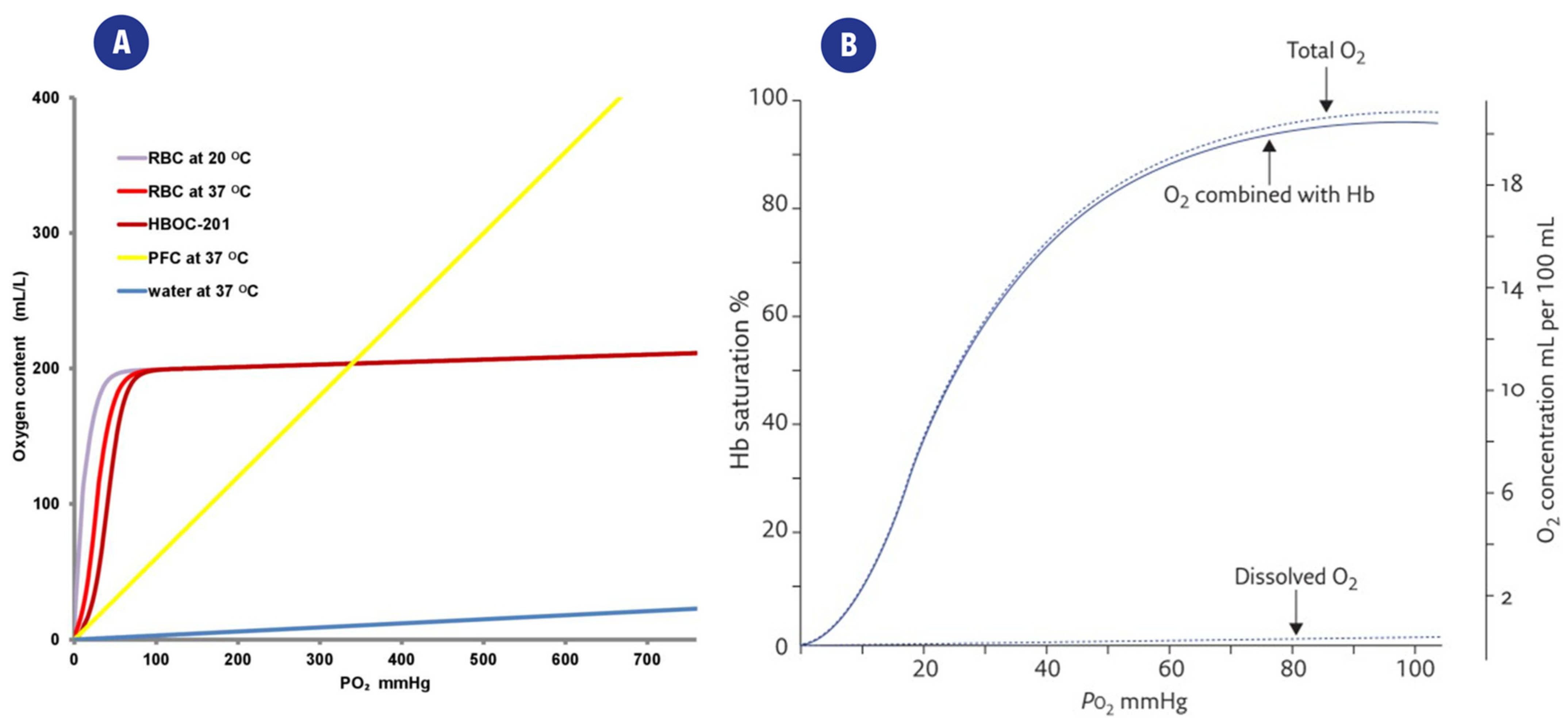 Ijms 23 15971 g002 Ijms 23 15971 g002