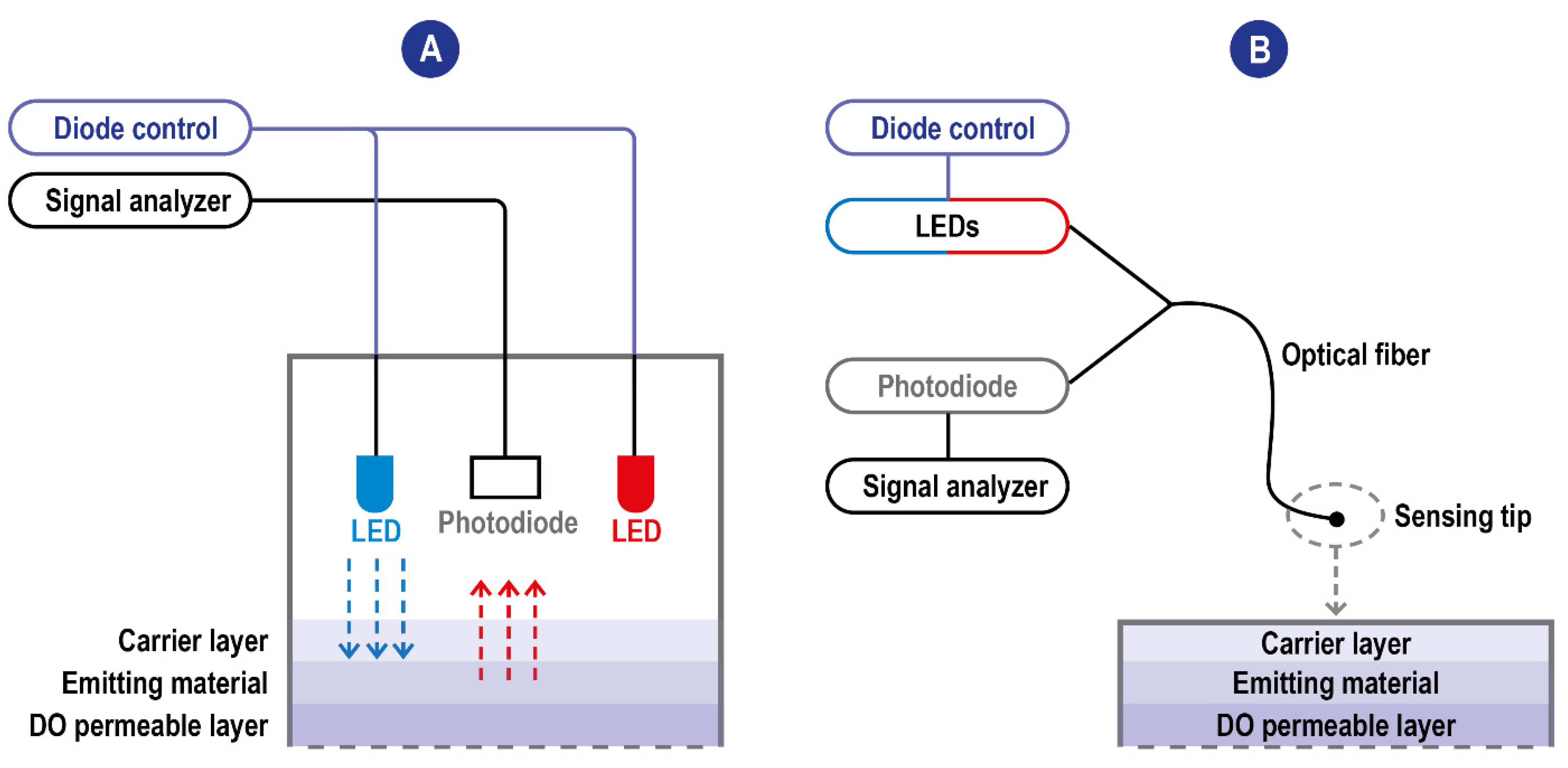 Ijms 23 15971 g004 Ijms 23 15971 g004