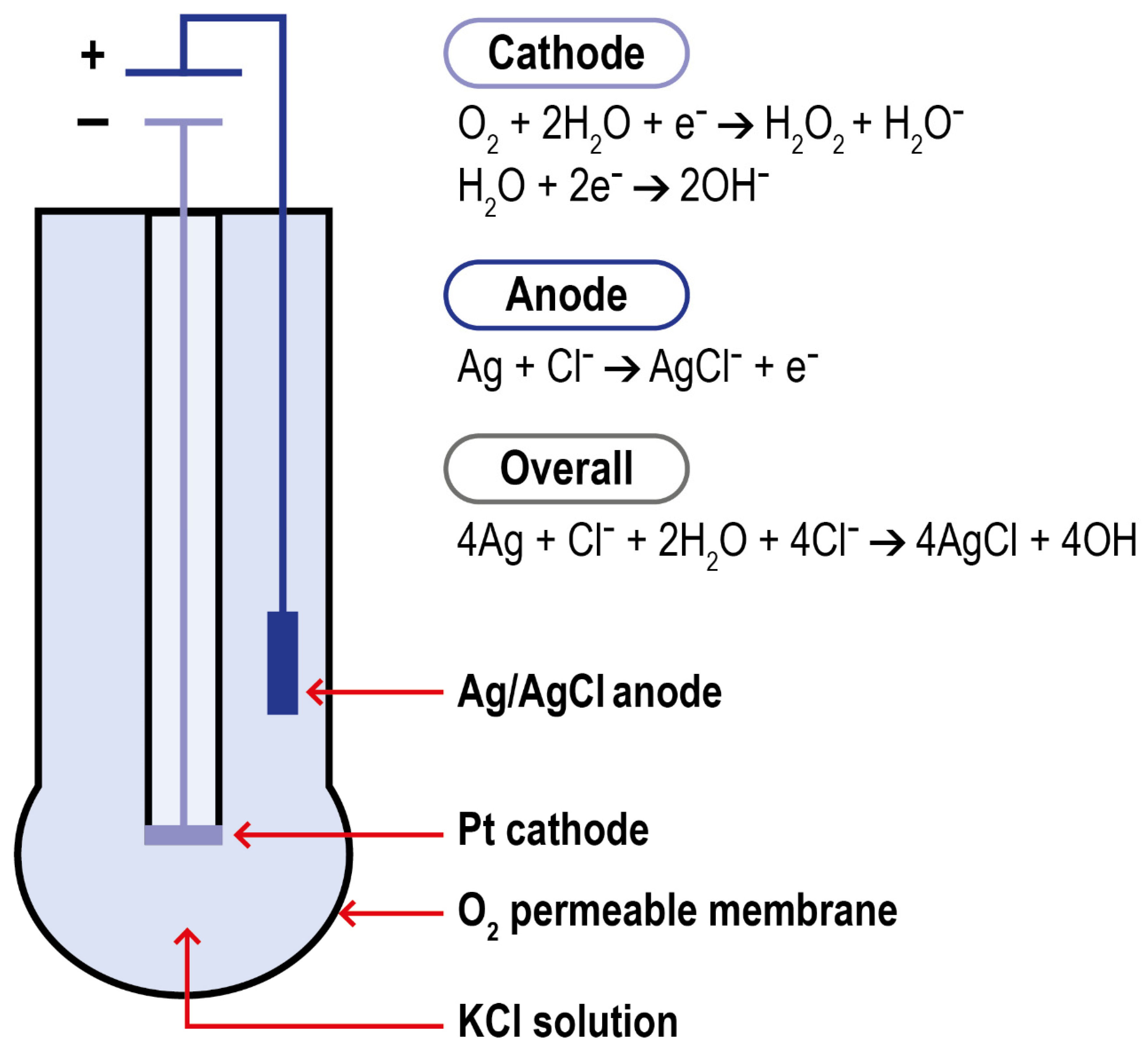 Ijms 23 15971 g005 Ijms 23 15971 g005