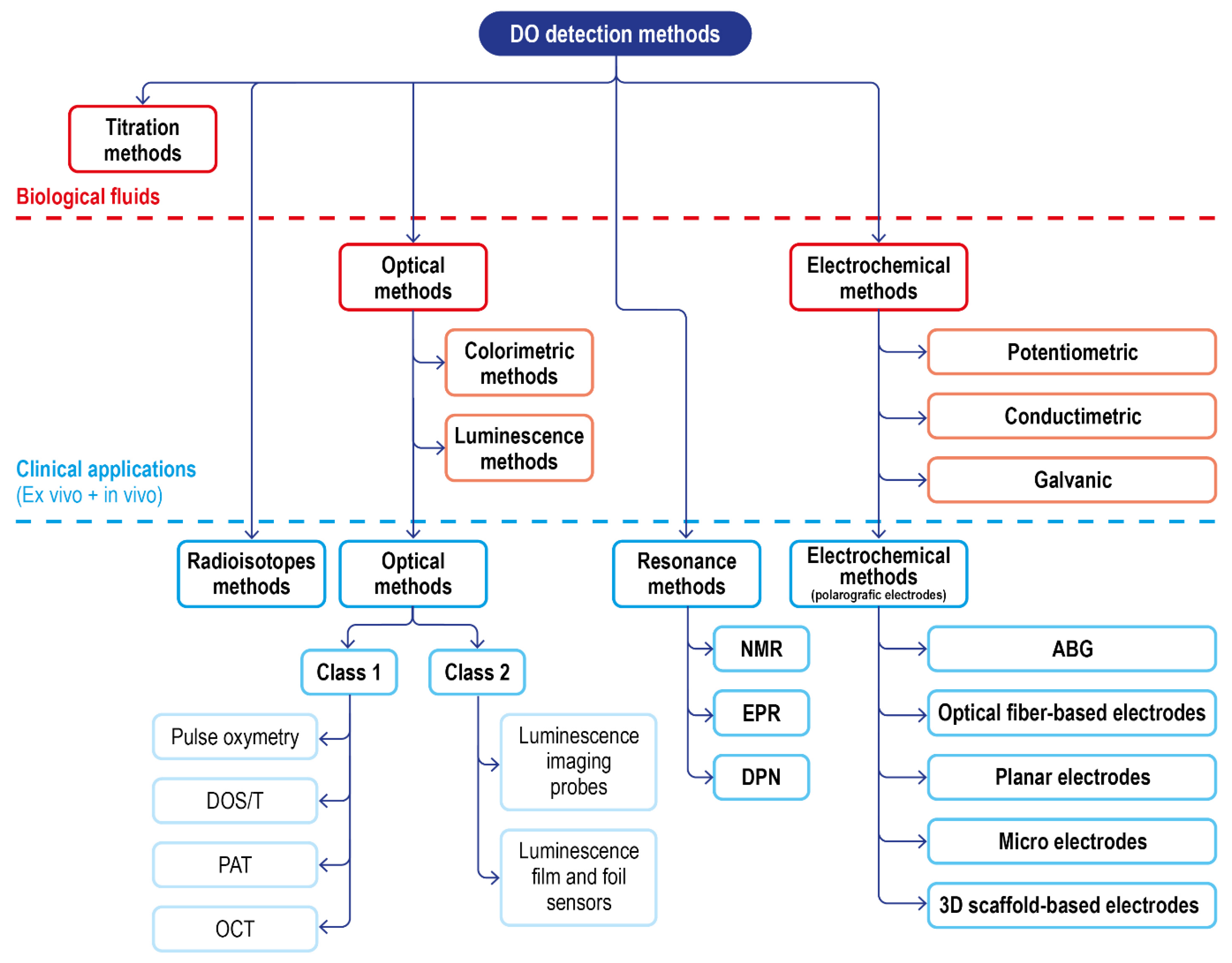 Ijms 23 15971 g010 Ijms 23 15971 g010