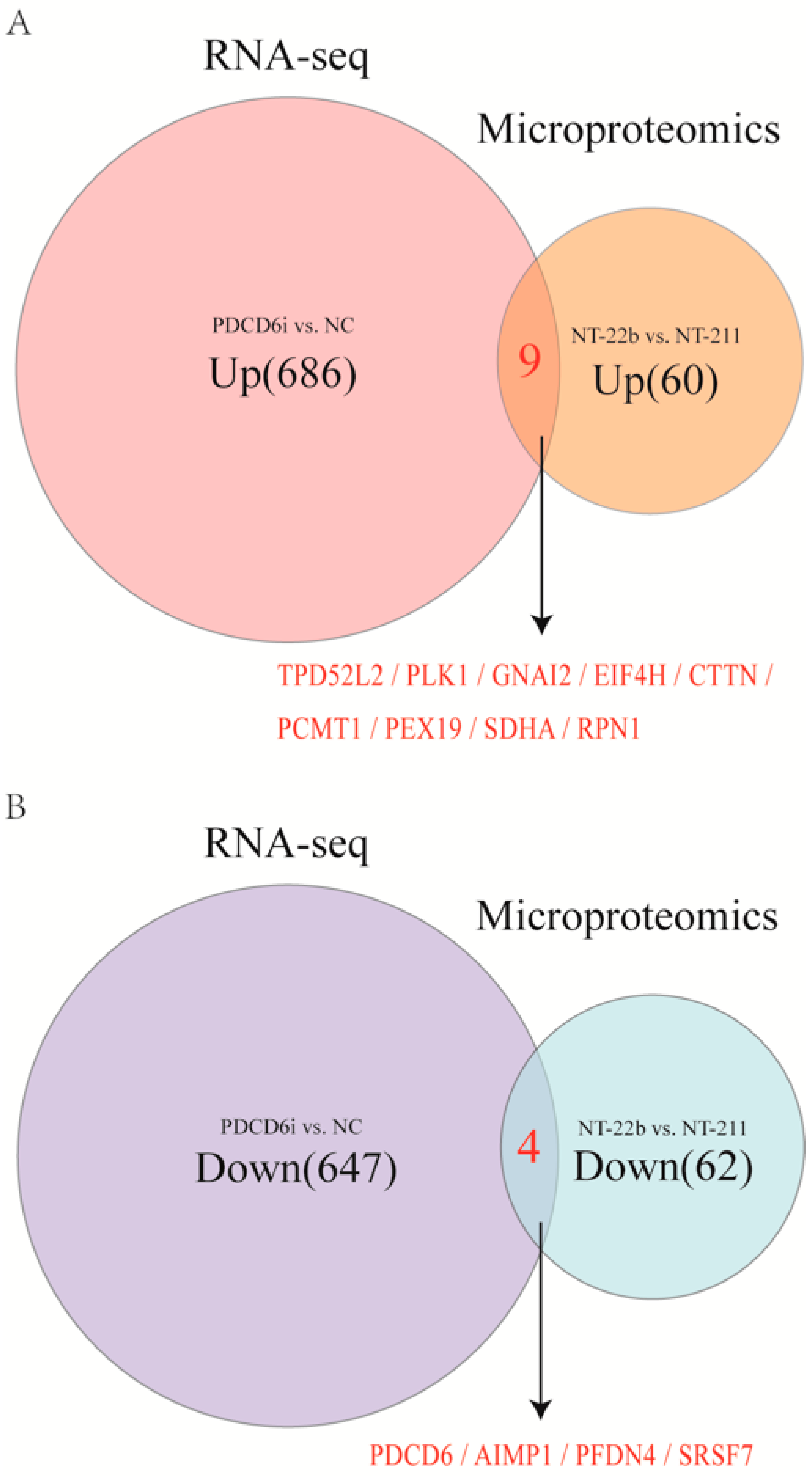 Ijms 23 15975 g007 Ijms 23 15975 g007