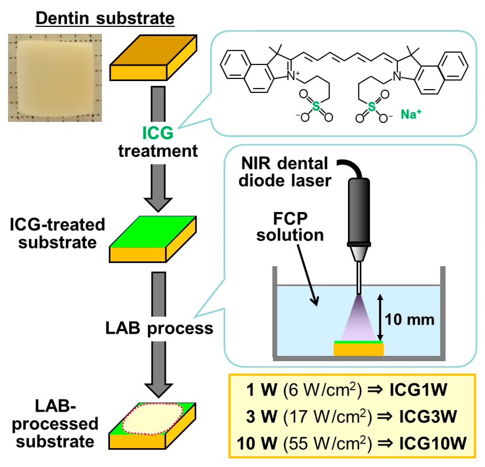 Ijms 23 15981 g001 Ijms 23 15981 g001