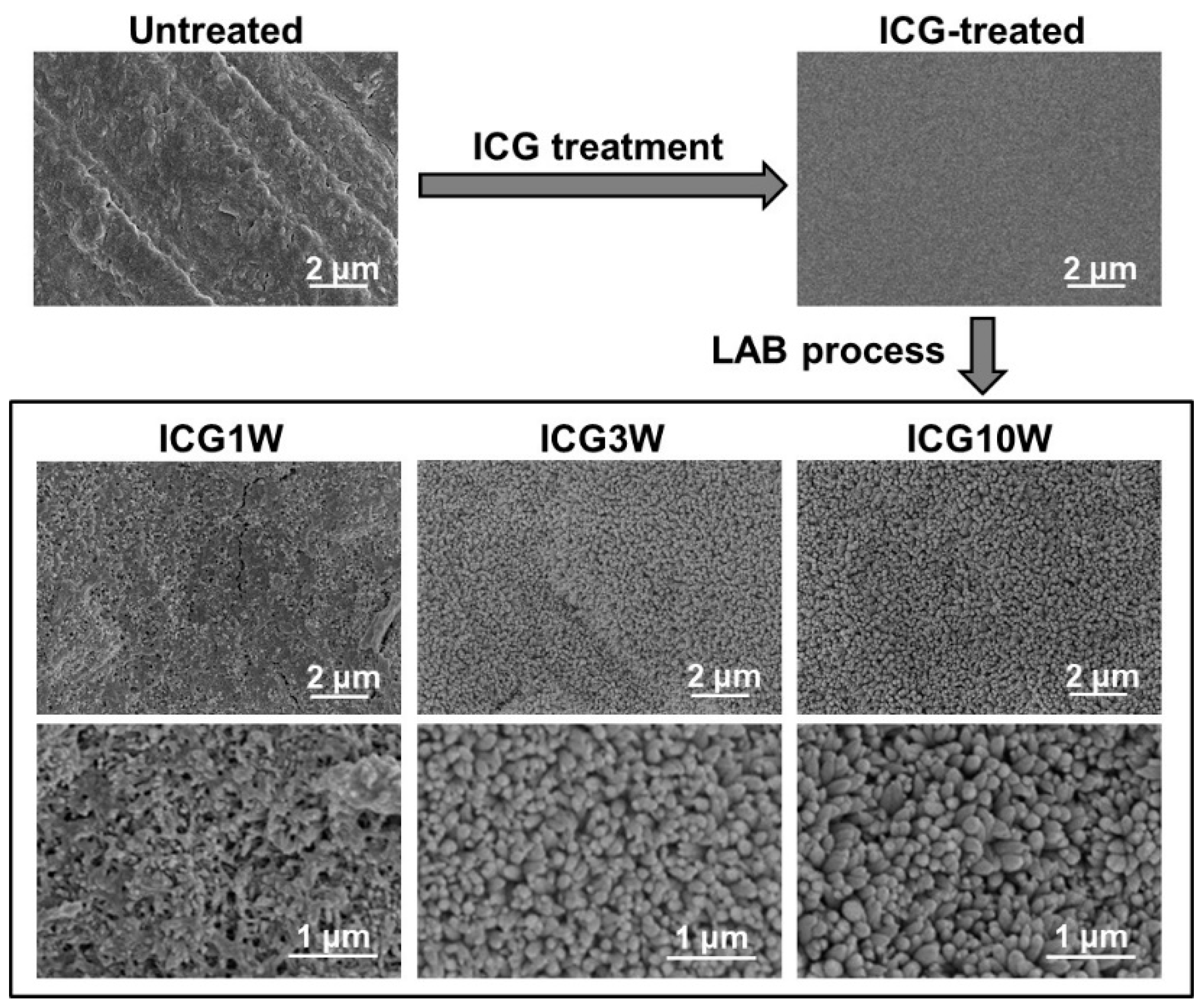 Ijms 23 15981 g002 Ijms 23 15981 g002