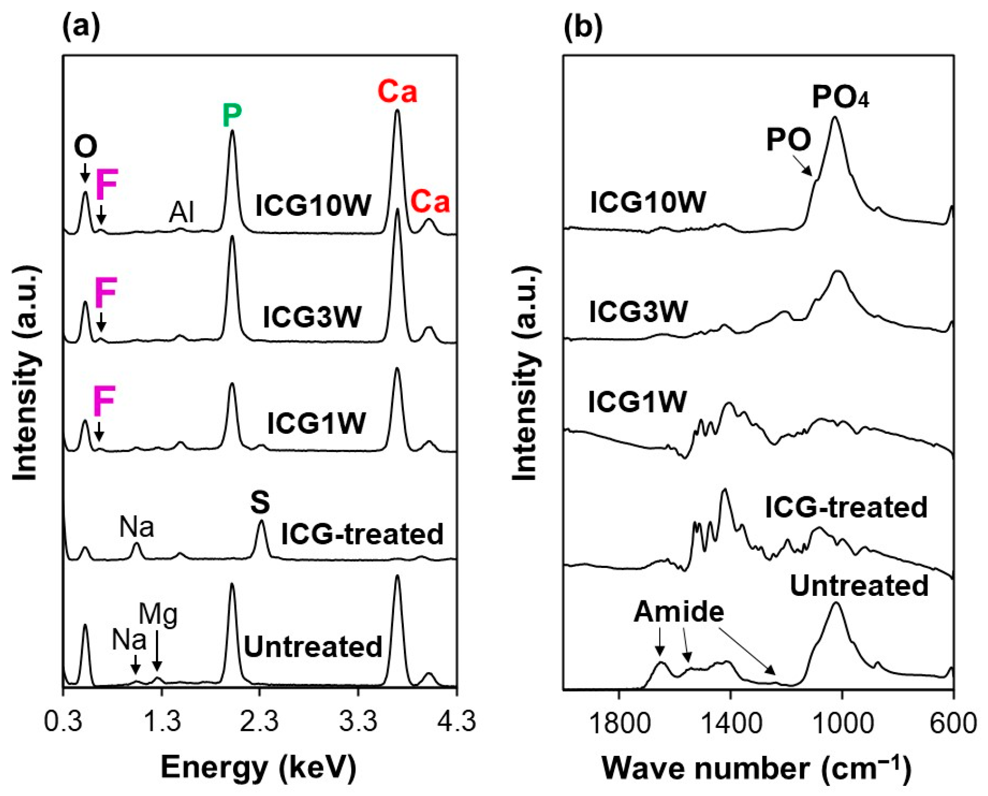 Ijms 23 15981 g003 Ijms 23 15981 g003