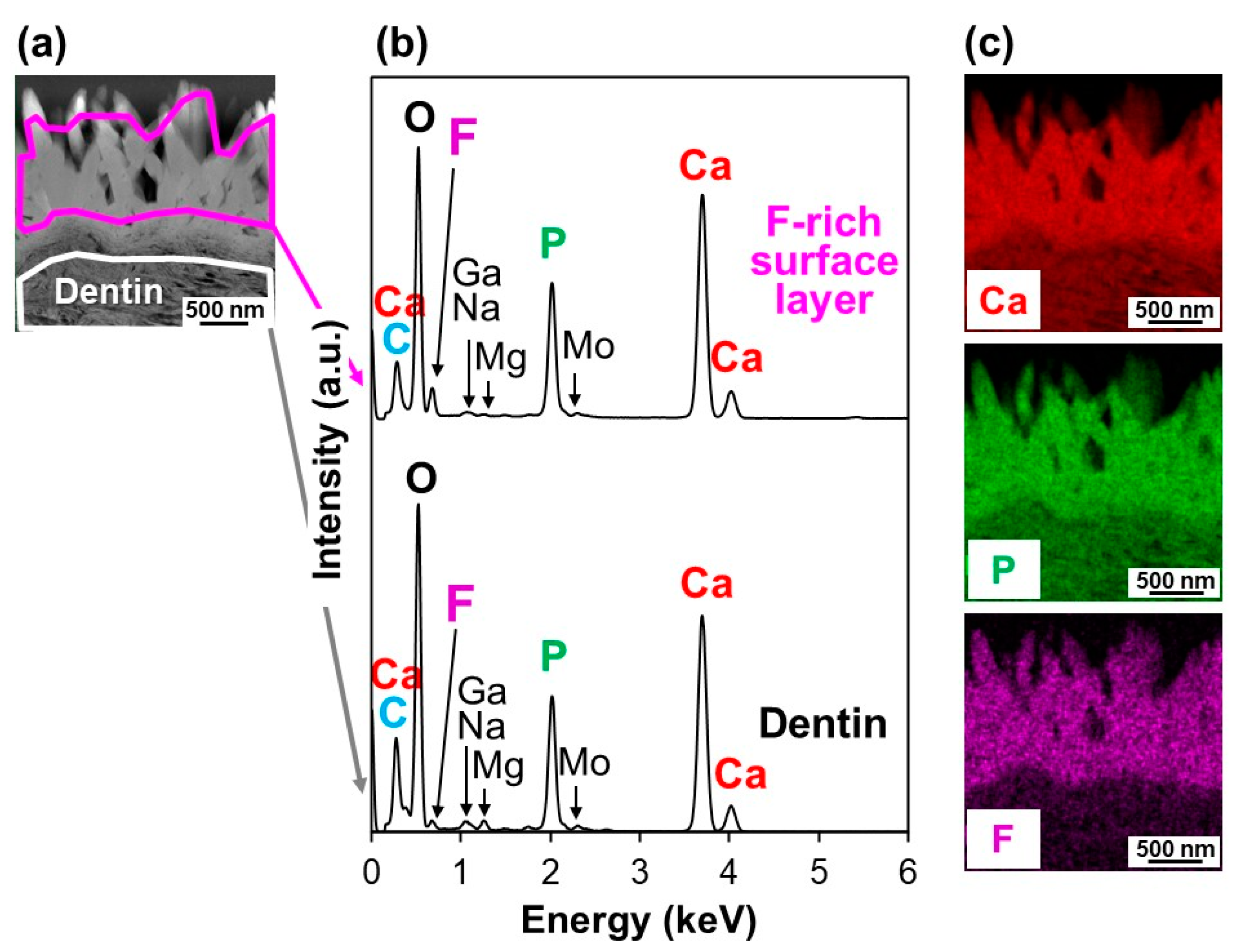 Ijms 23 15981 g006 Ijms 23 15981 g006