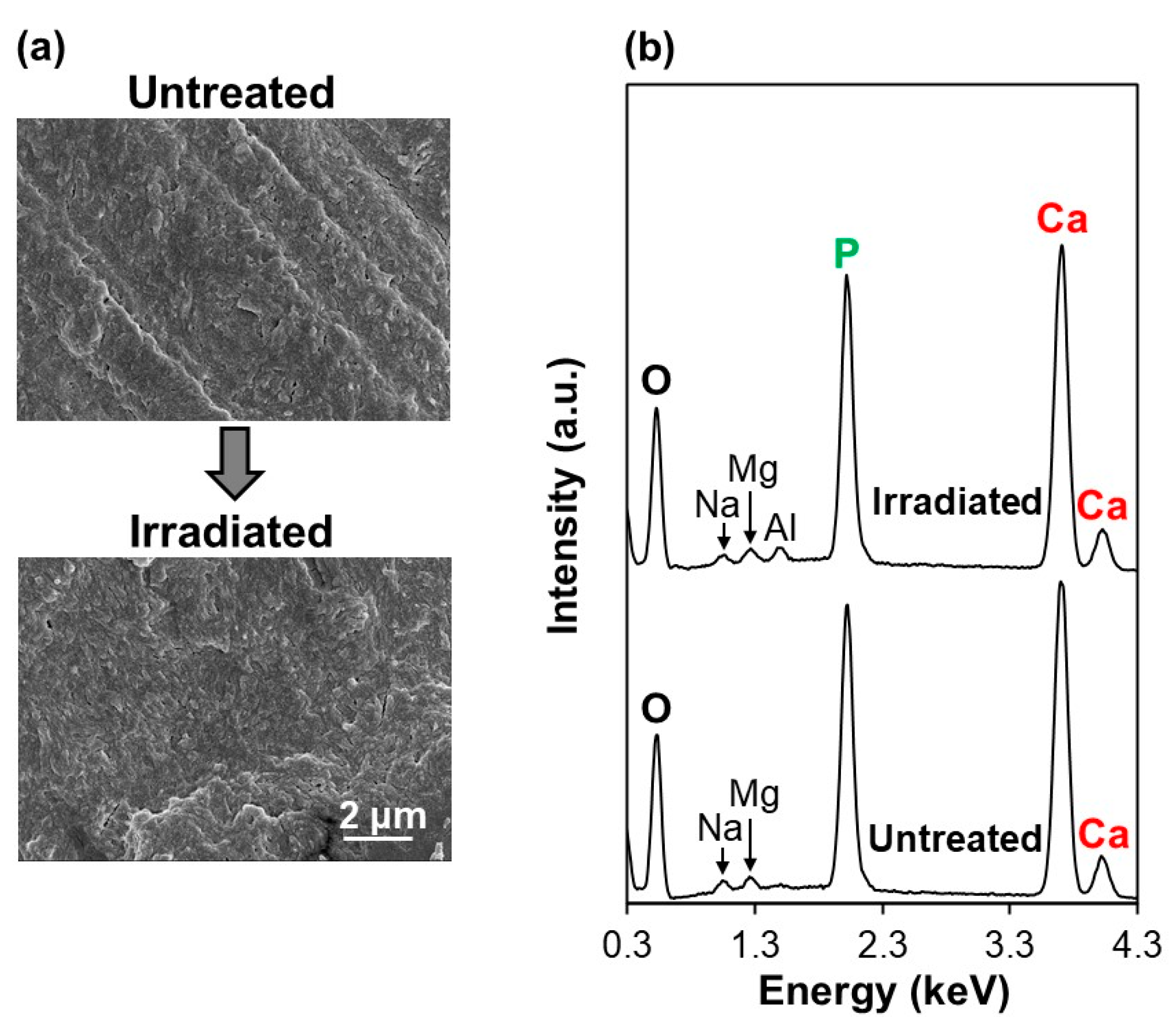 Ijms 23 15981 g009 Ijms 23 15981 g009