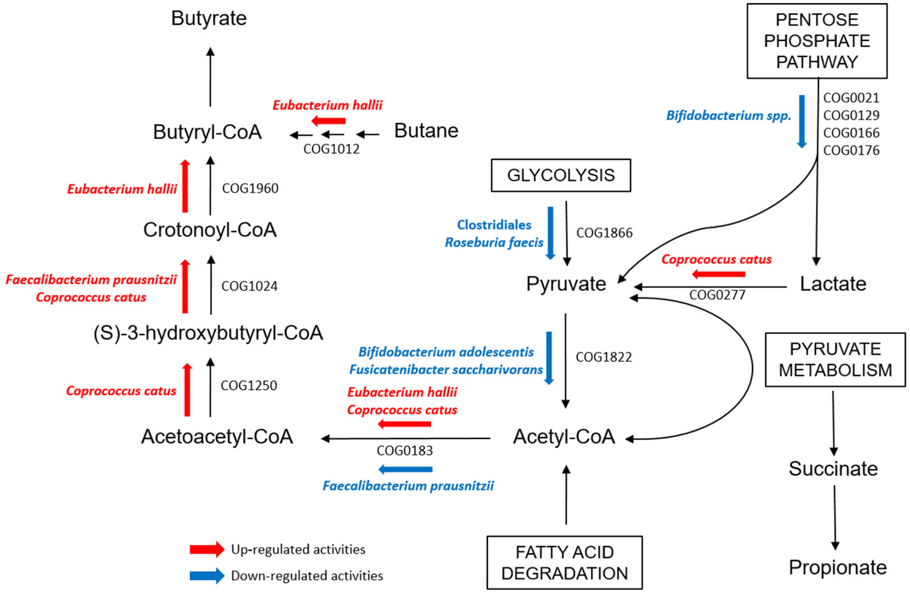 Ijms 23 15982 g004 Ijms 23 15982 g004