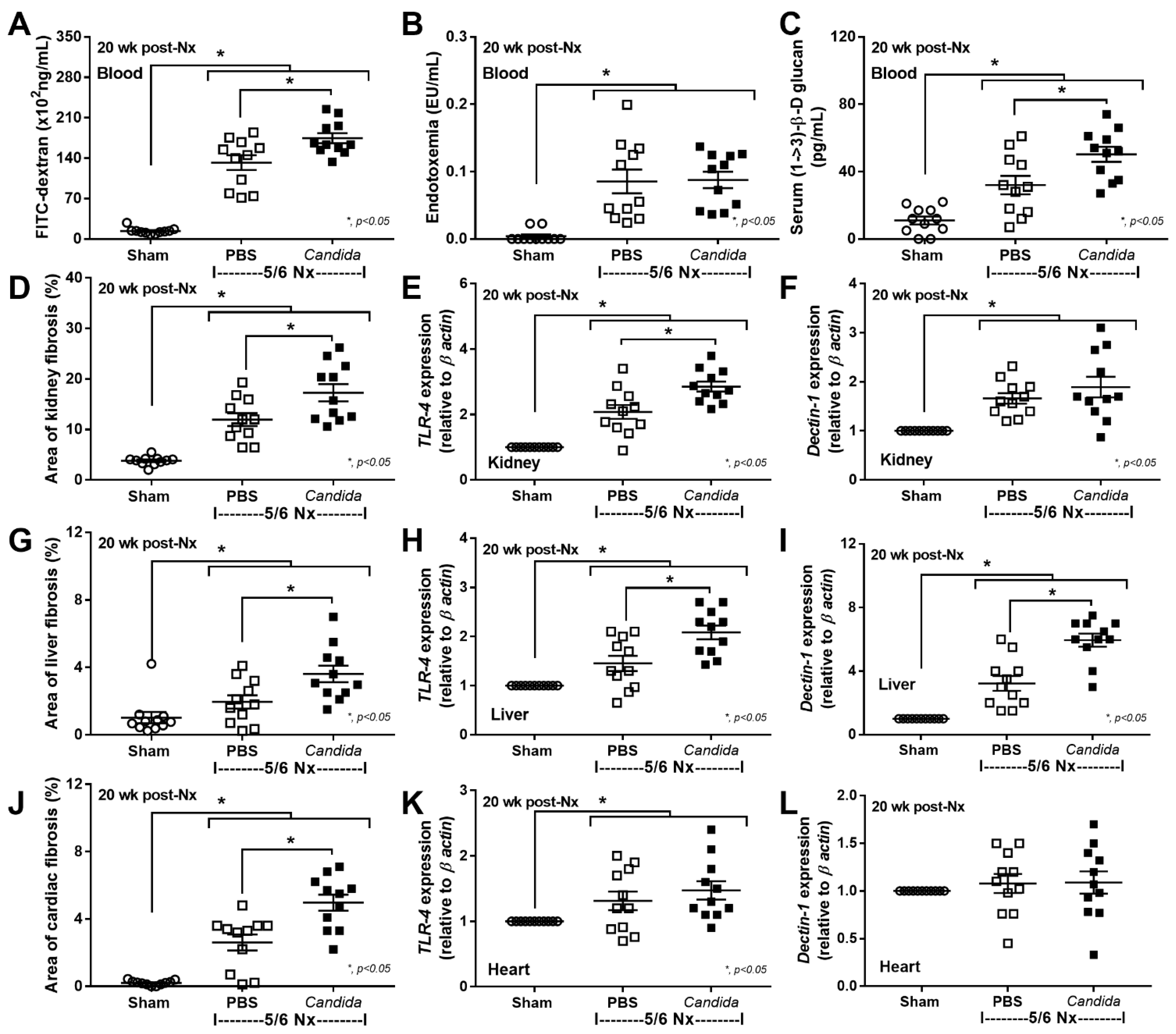 Ijms 23 15987 g002 Ijms 23 15987 g002