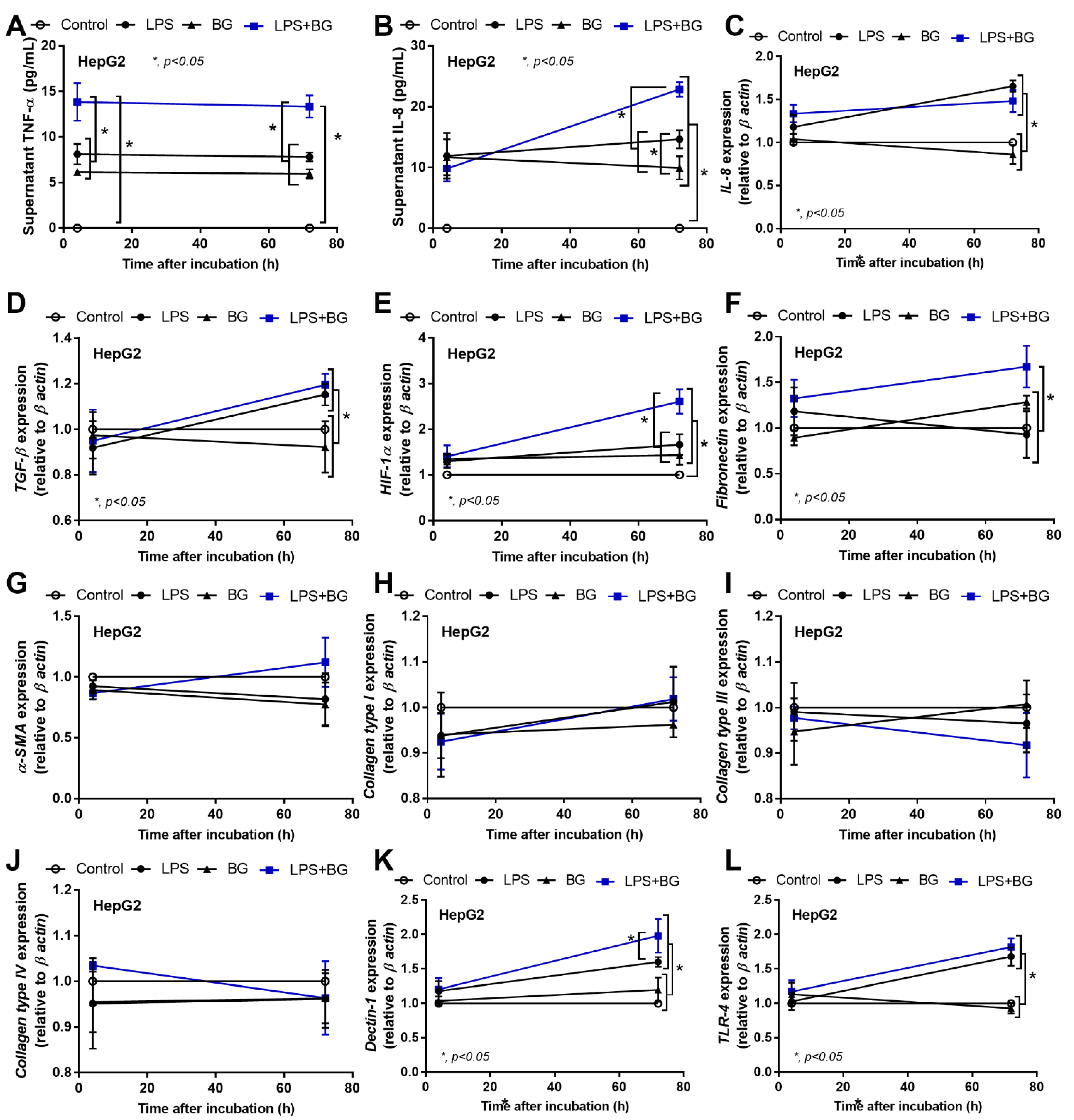 Ijms 23 15987 g007 Ijms 23 15987 g007