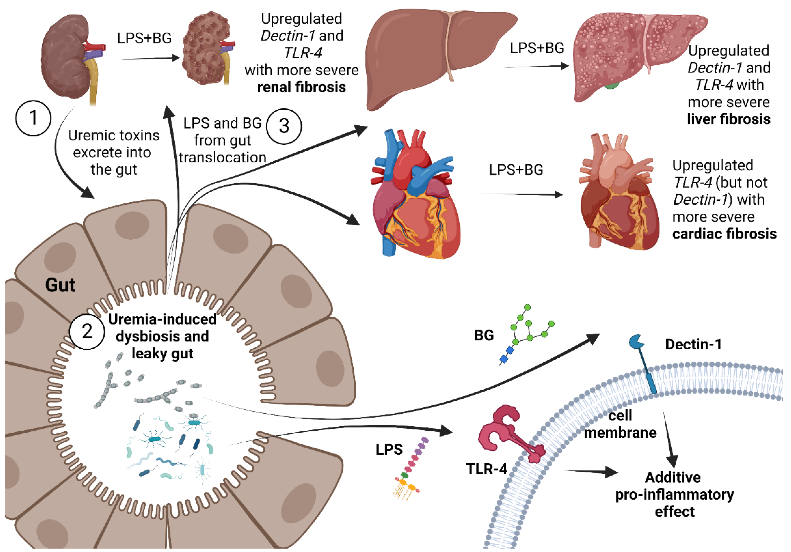 Ijms 23 15987 g008 Ijms 23 15987 g008