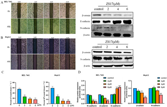 Smad3 Sensitizes Hepatocelluar Carcinoma Cells to Cisplatin