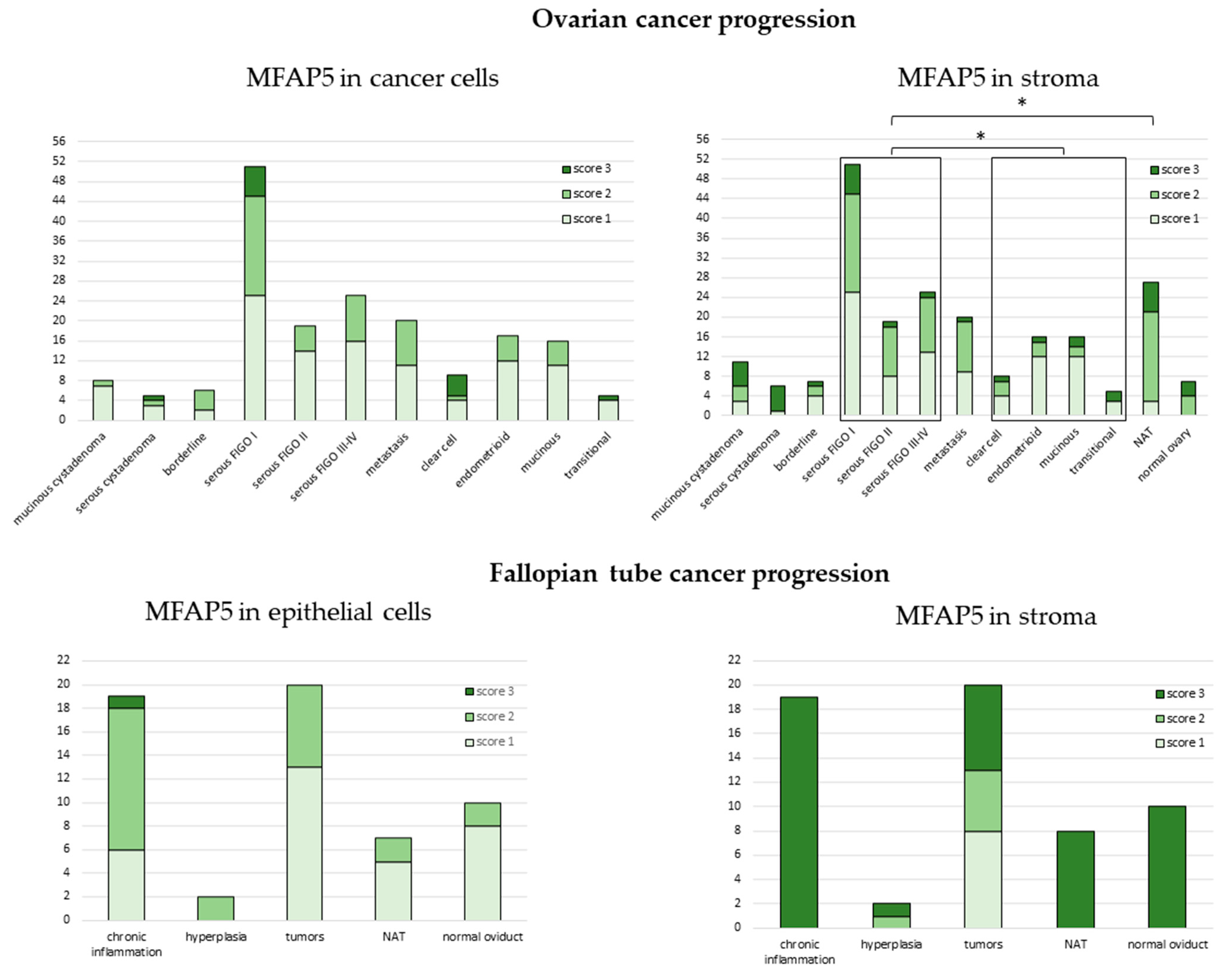 Ijms 23 15994 g005 Ijms 23 15994 g005