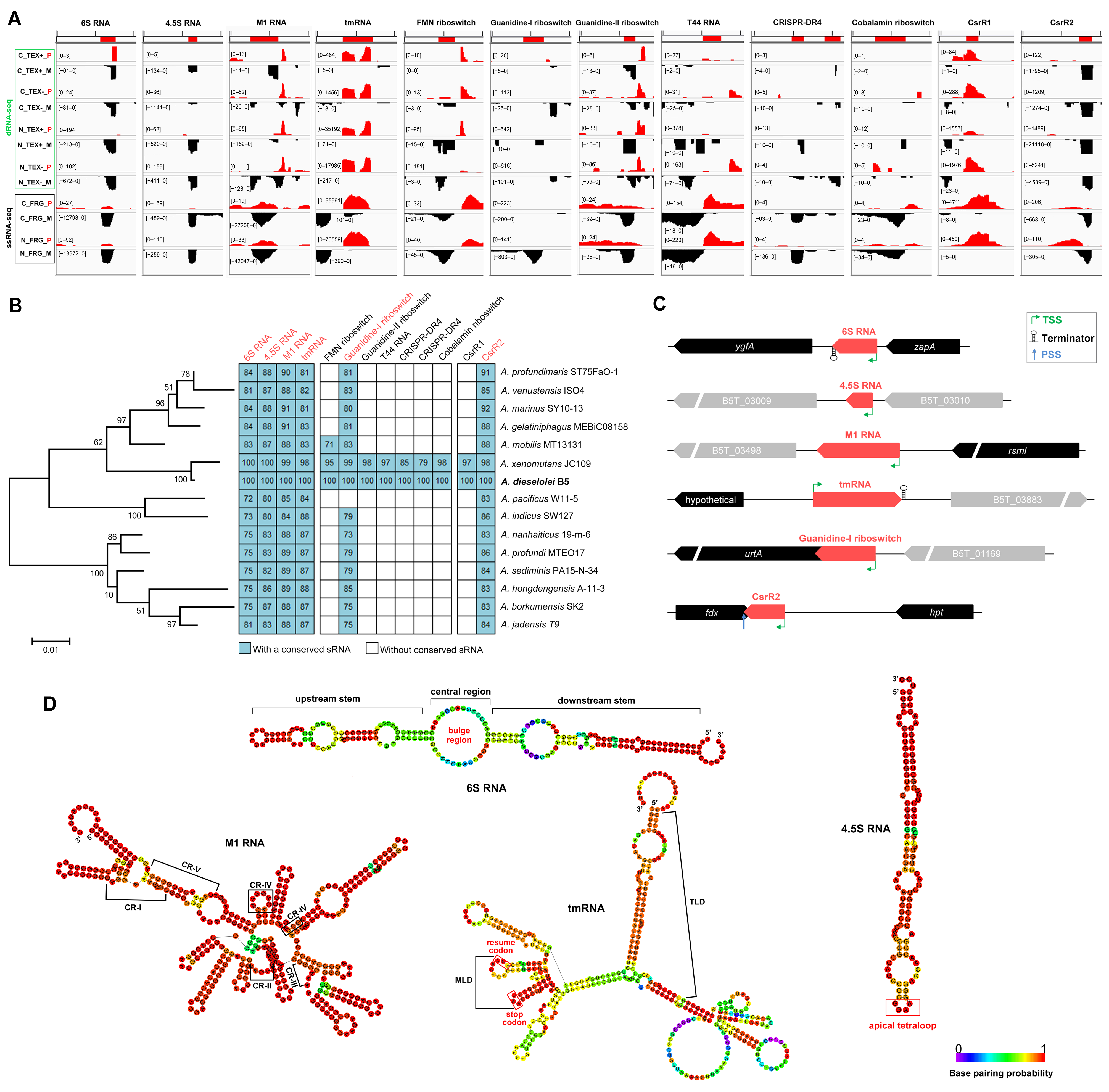 Ijms 23 15995 g004 Ijms 23 15995 g004