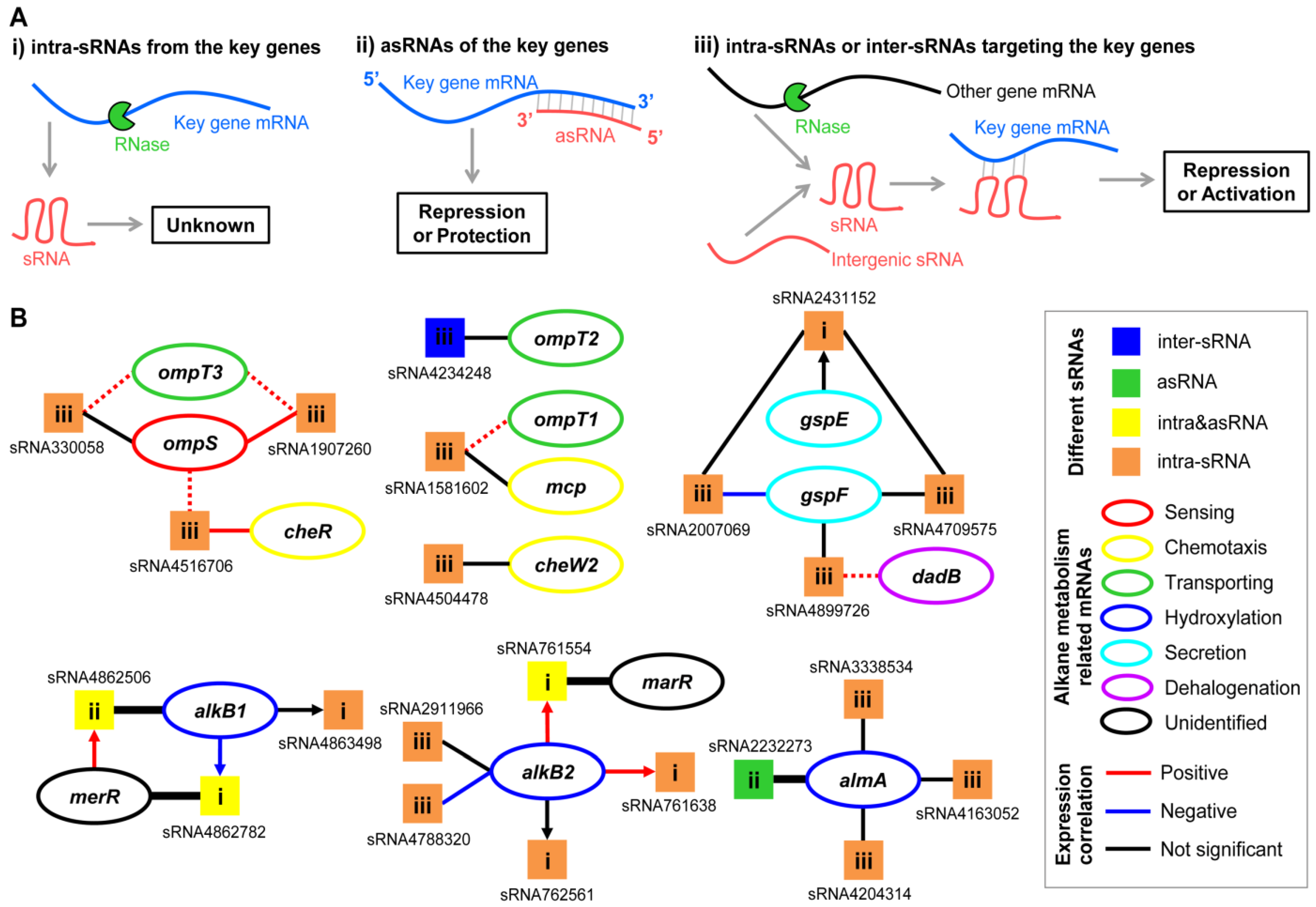 Ijms 23 15995 g008 Ijms 23 15995 g008