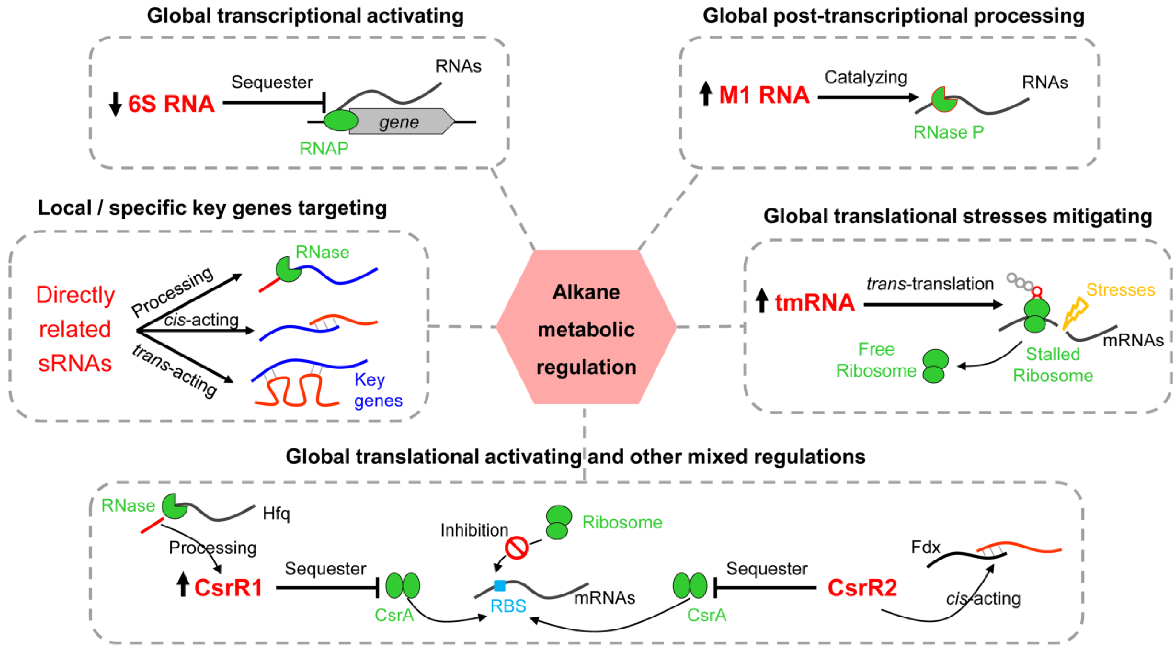 Ijms 23 15995 g009 Ijms 23 15995 g009