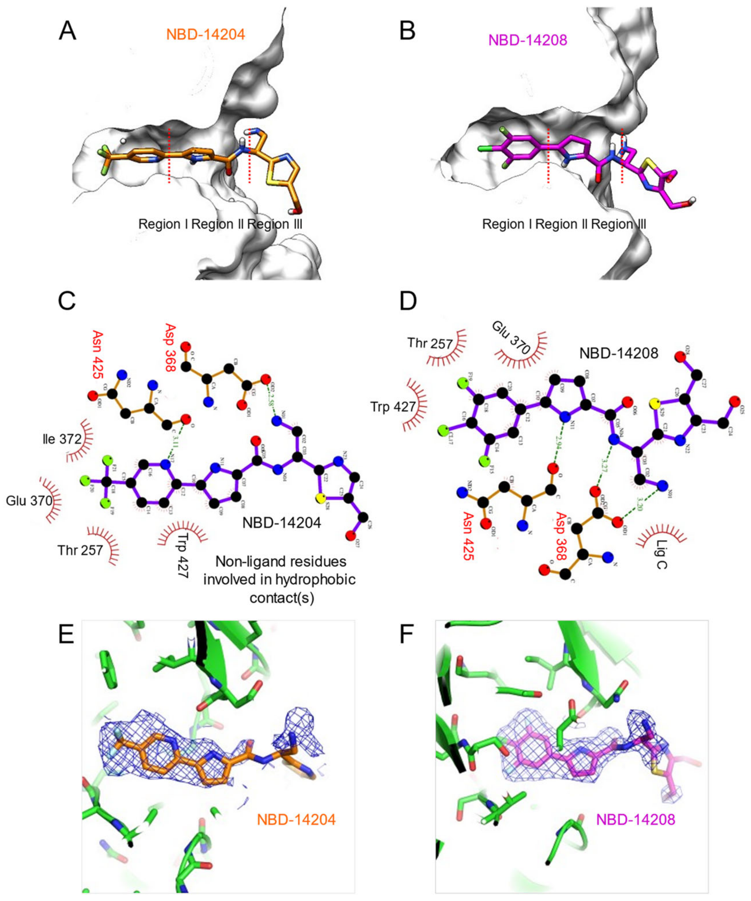 Ijms 23 15999 g002 Ijms 23 15999 g002