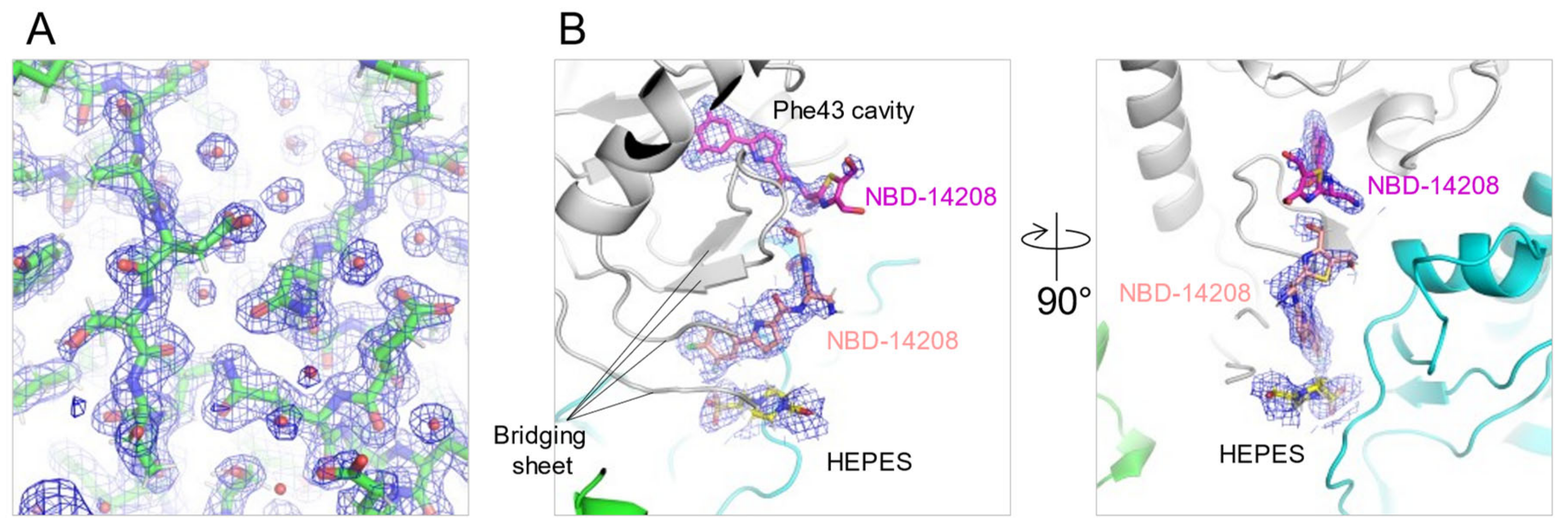 Ijms 23 15999 g003 Ijms 23 15999 g003