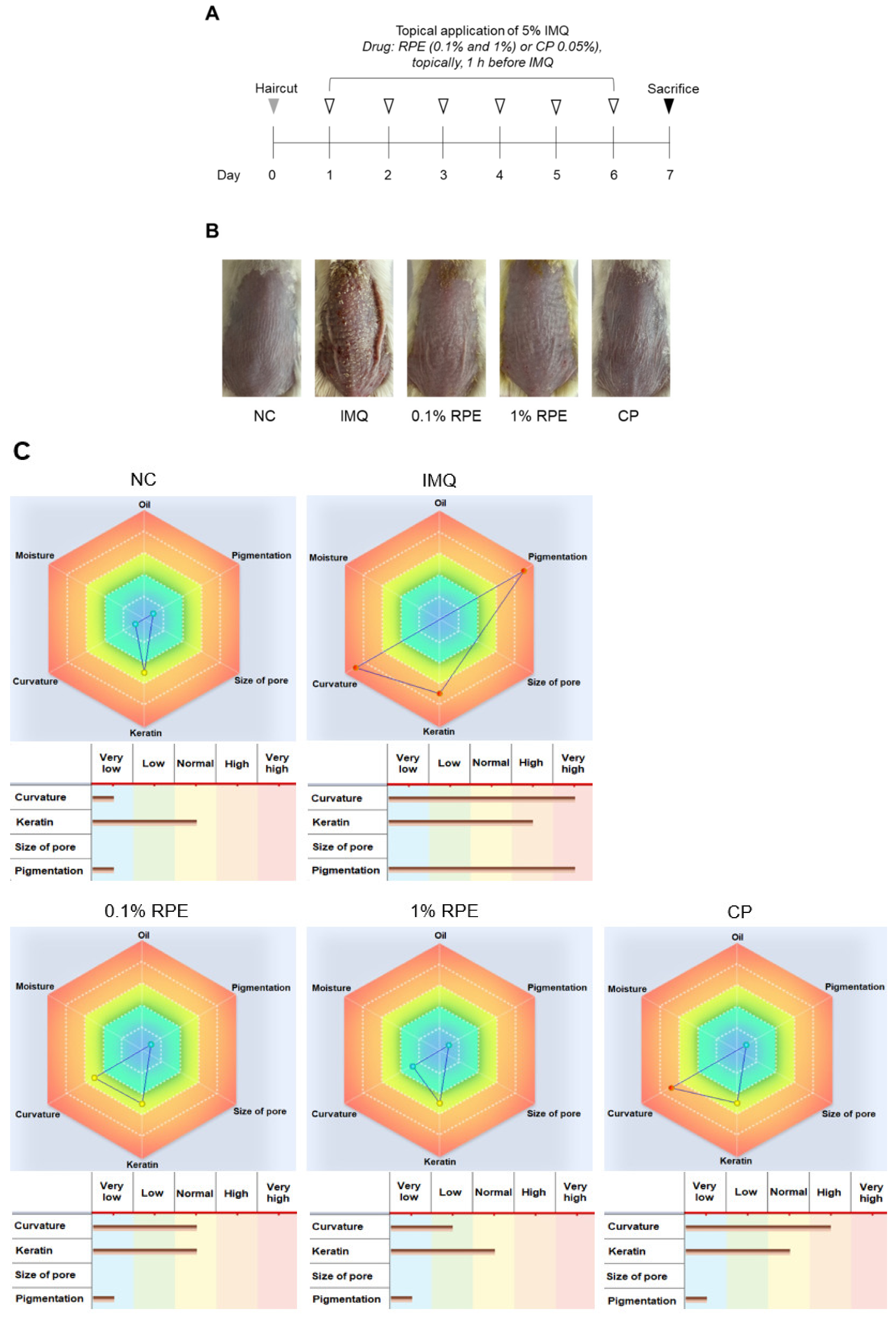 Ijms 23 16000 g001a Ijms 23 16000 g001a