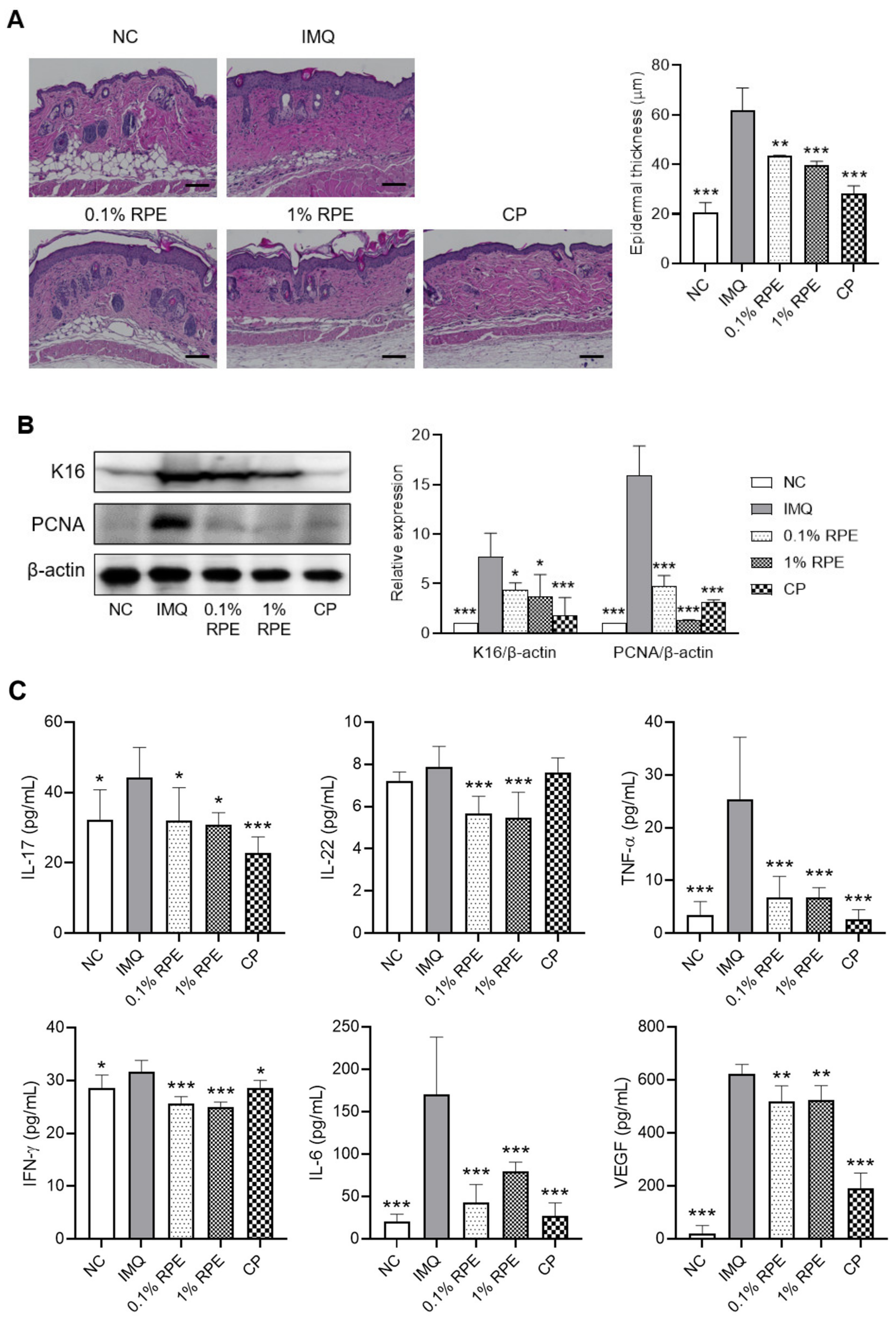 Ijms 23 16000 g002 Ijms 23 16000 g002