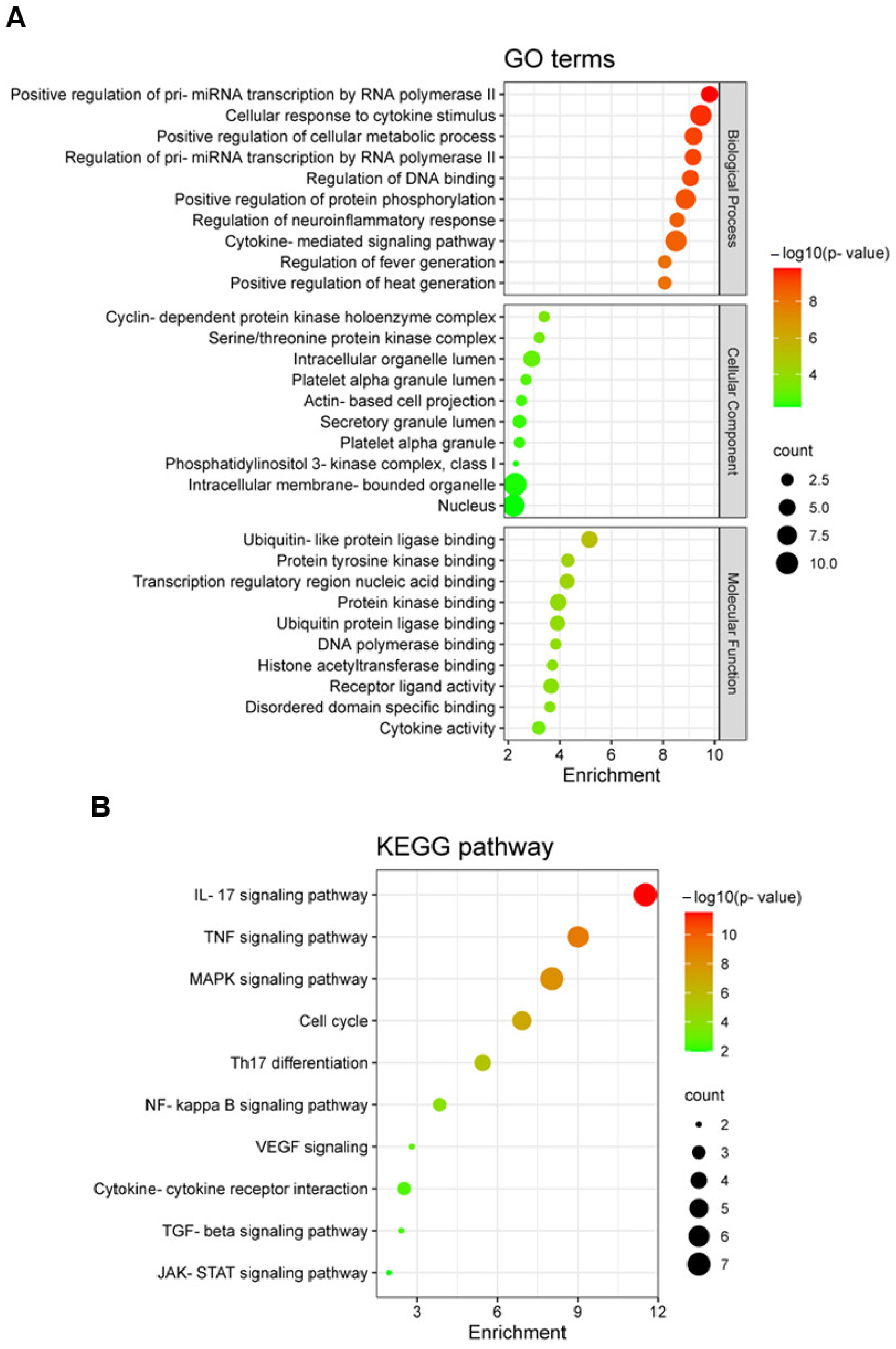 Ijms 23 16000 g005a Ijms 23 16000 g005a