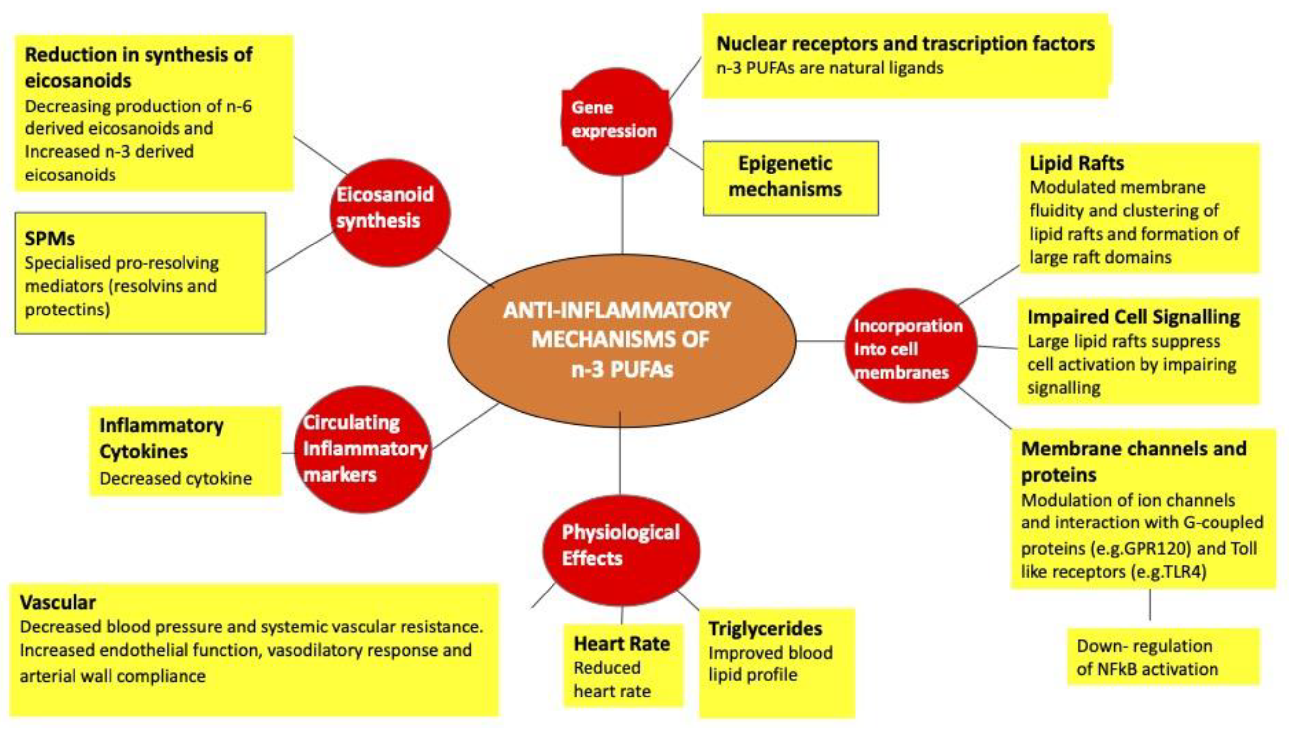 Ijms 23 16002 g006 Ijms 23 16002 g006