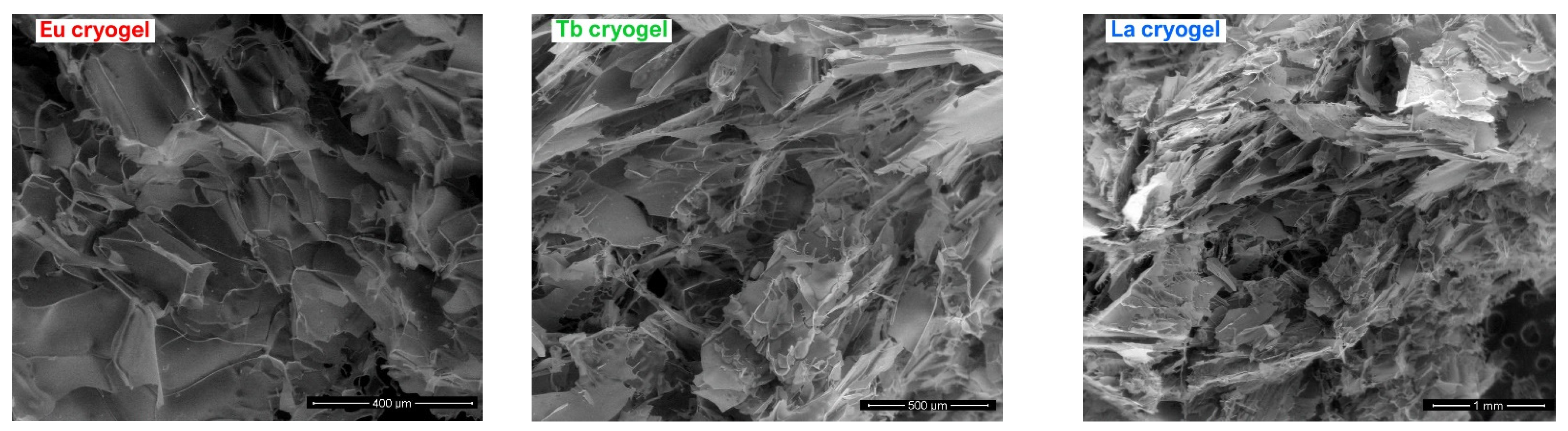 Ijms 23 16004 g003 Ijms 23 16004 g003